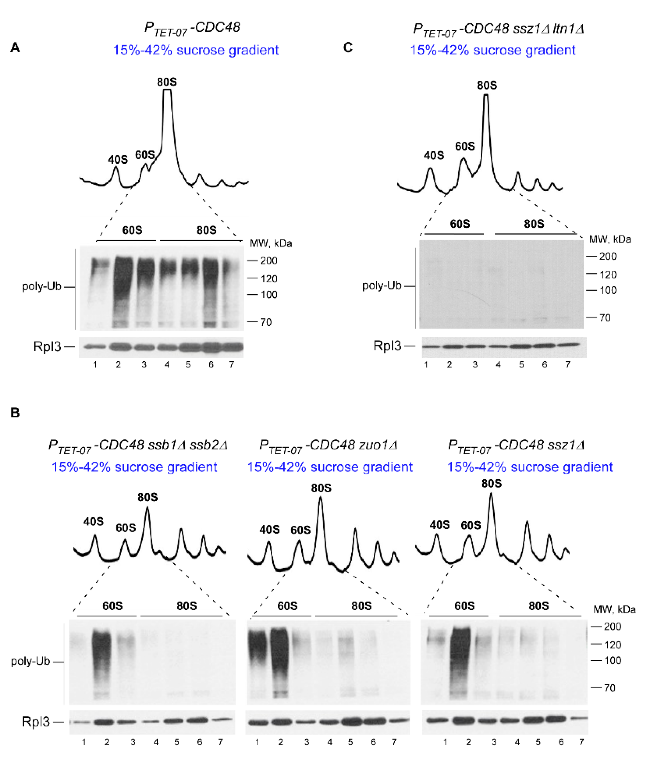 Ijms 21 06815 g003 Ijms 21 06815 g003