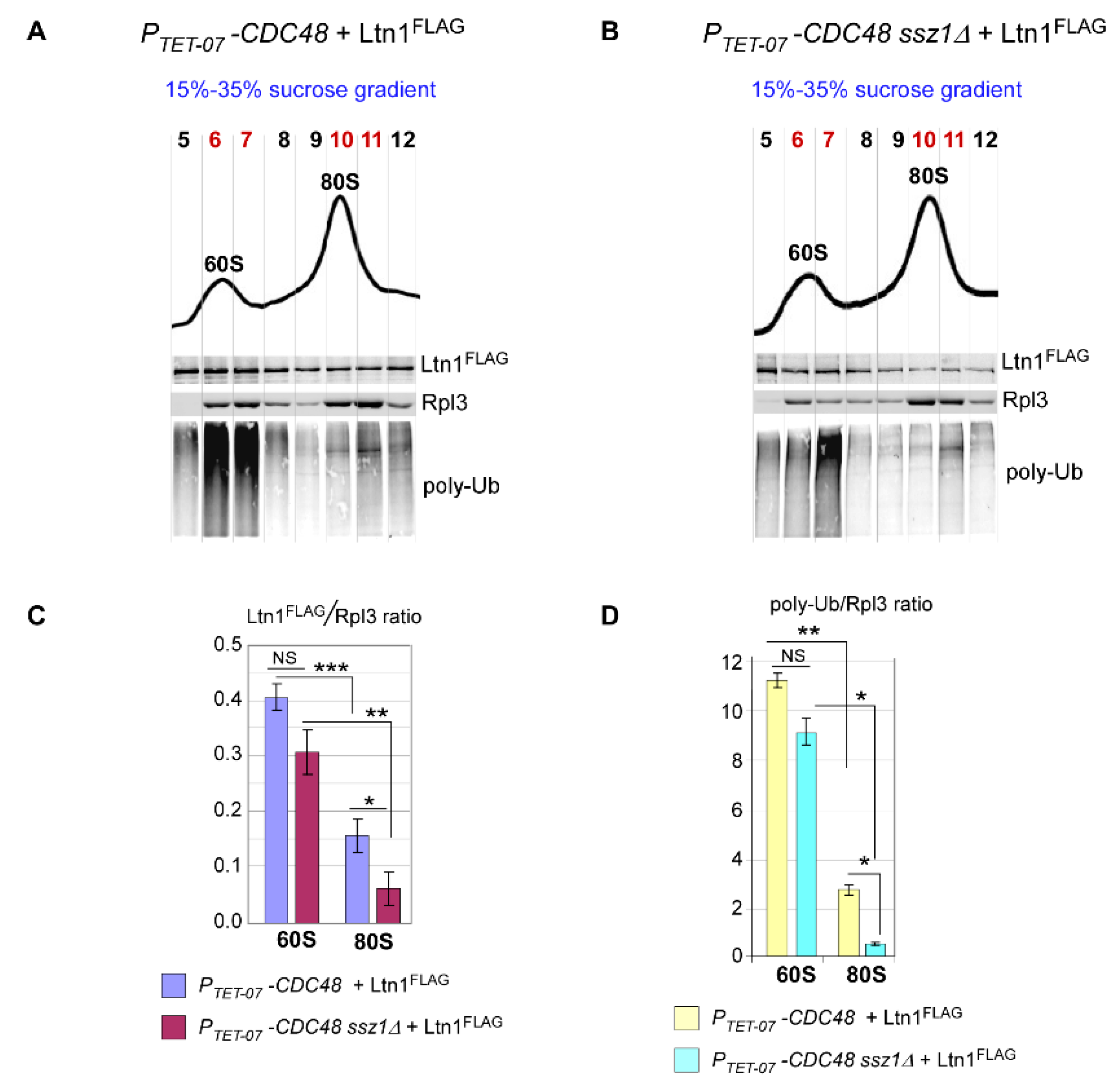 Ijms 21 06815 g004 Ijms 21 06815 g004