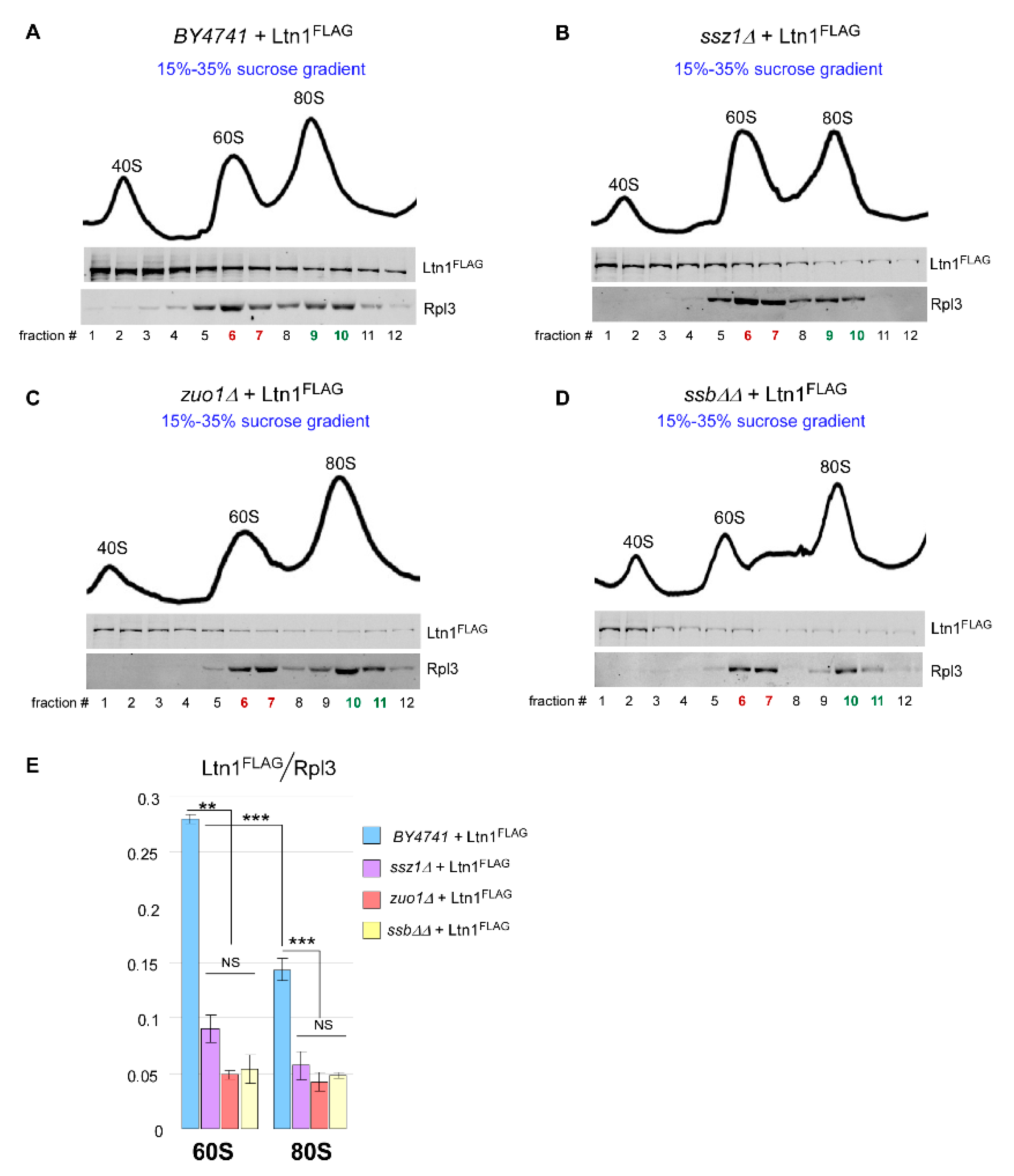 Ijms 21 06815 g005 Ijms 21 06815 g005