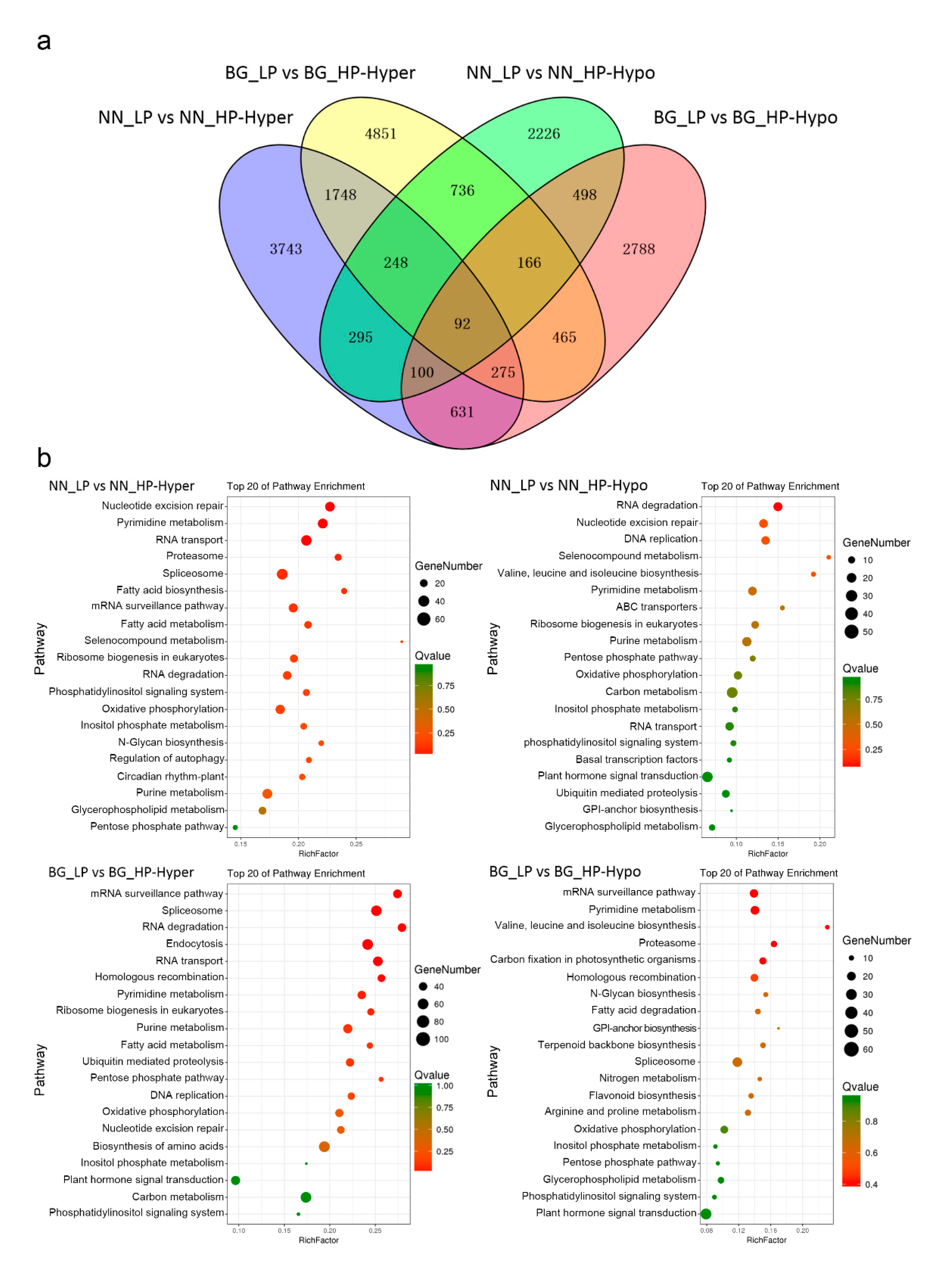 Ijms 21 06817 g004 Ijms 21 06817 g004