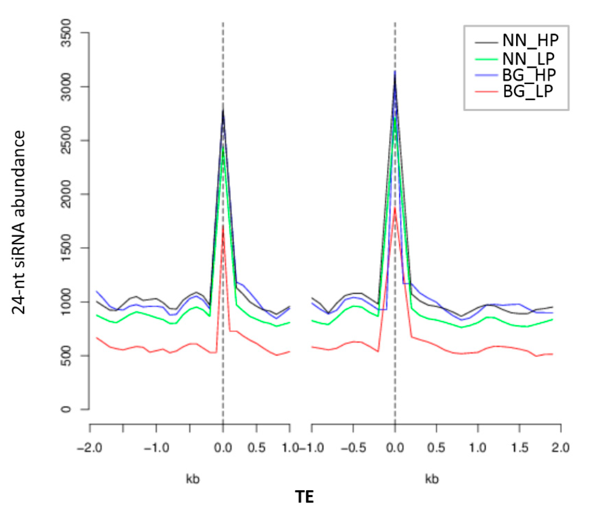 Ijms 21 06817 g008 Ijms 21 06817 g008