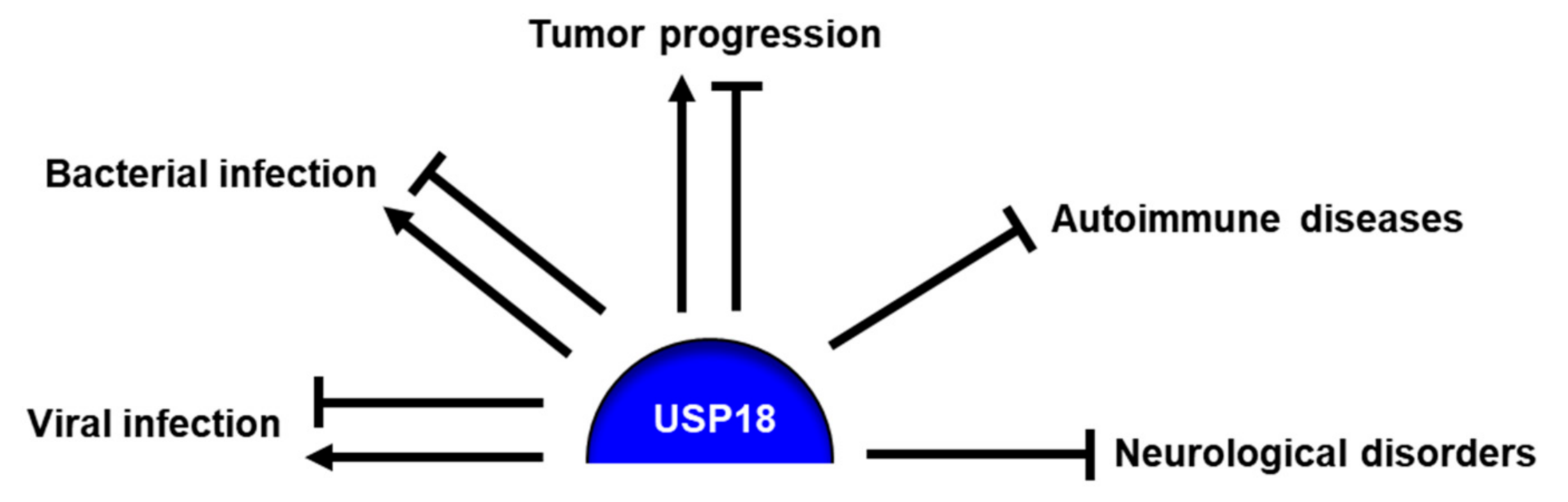 Ijms 21 06825 g003 Ijms 21 06825 g003