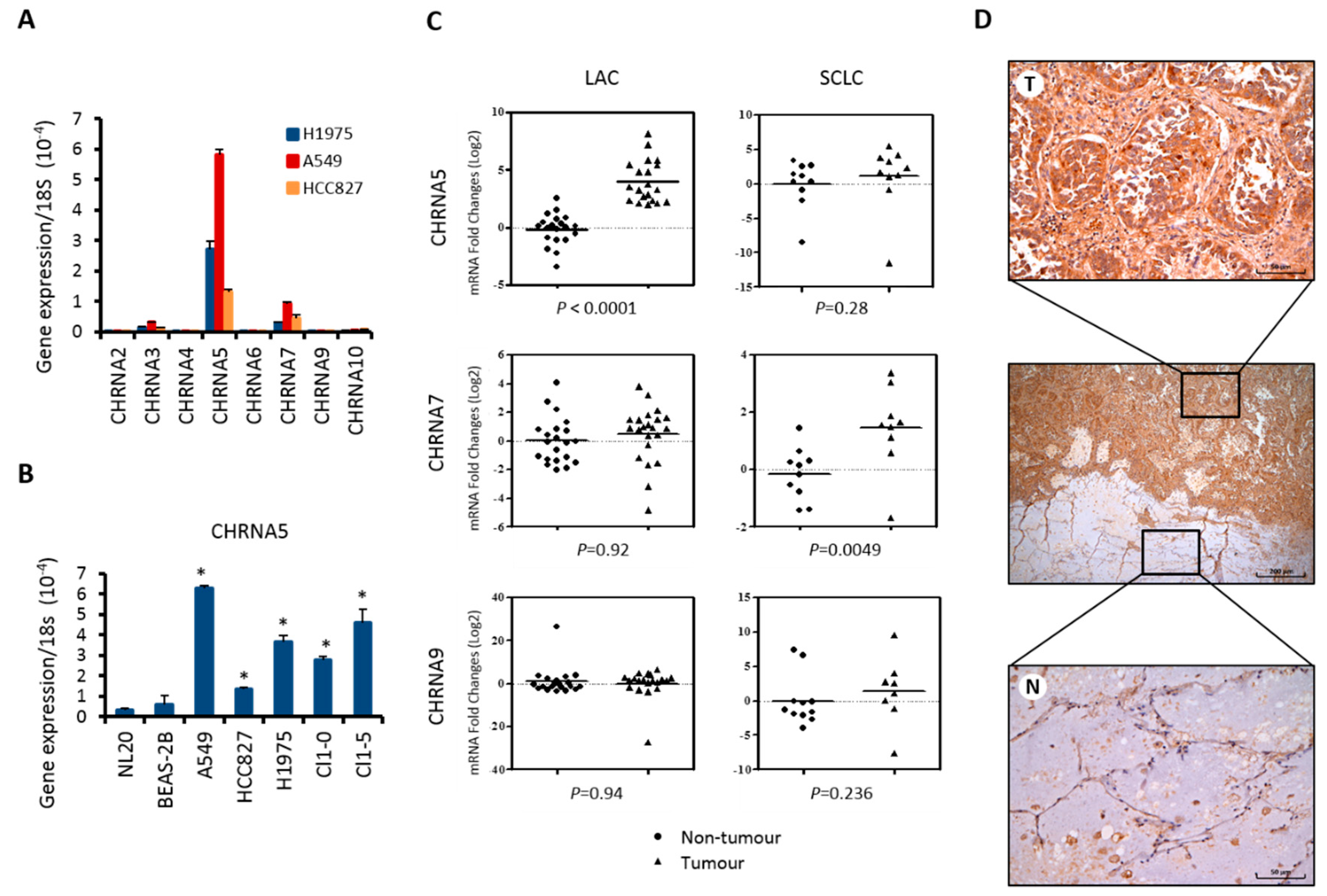 Ijms 21 06829 g001 Ijms 21 06829 g001