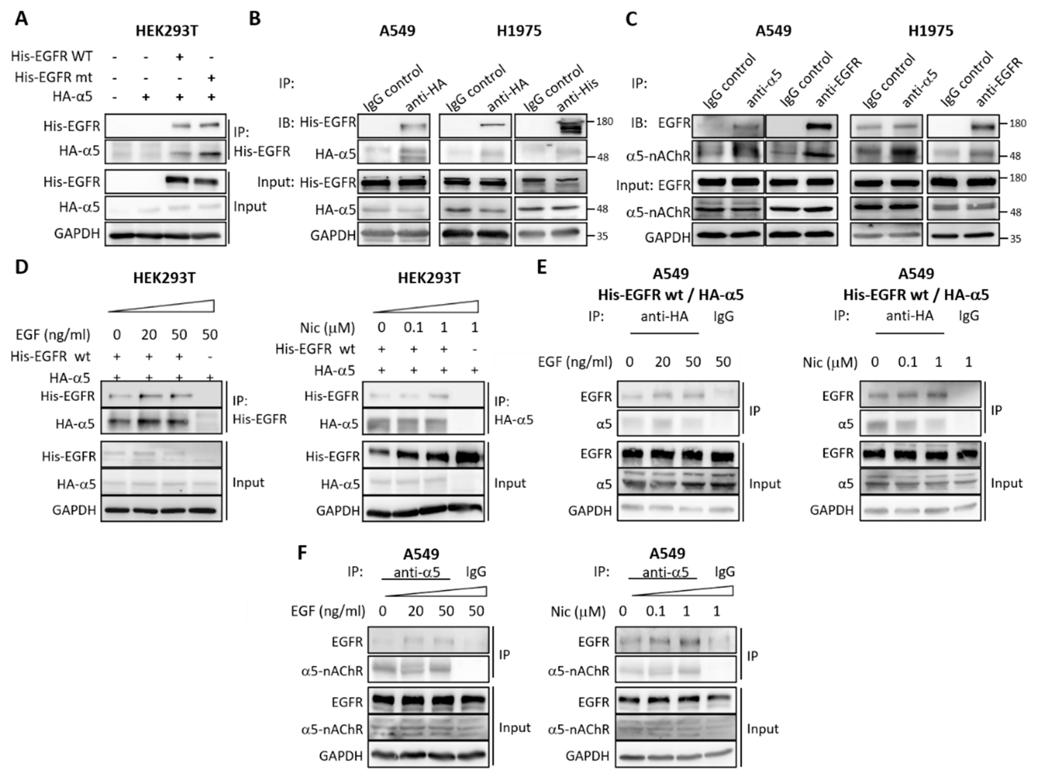 Ijms 21 06829 g003 Ijms 21 06829 g003