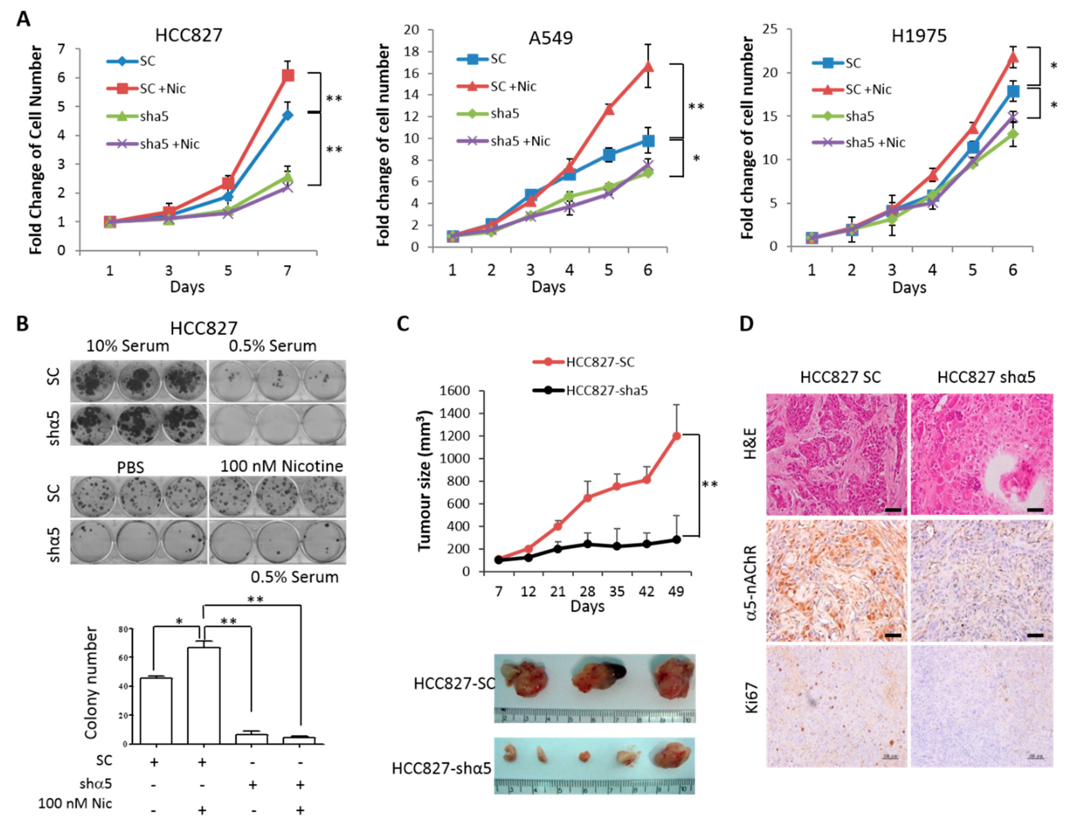 Ijms 21 06829 g005 Ijms 21 06829 g005