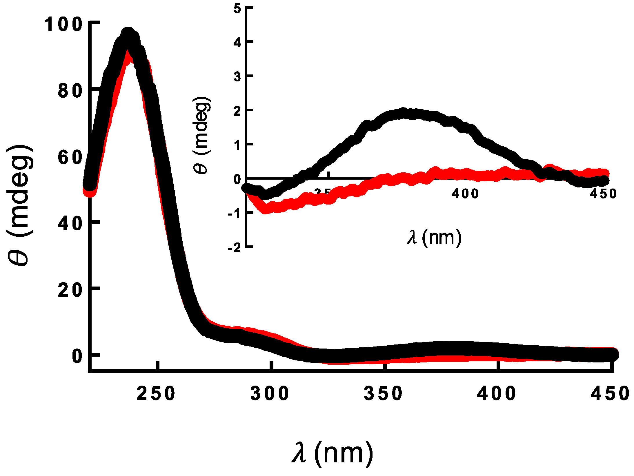 Ijms 21 06831 g003 Ijms 21 06831 g003