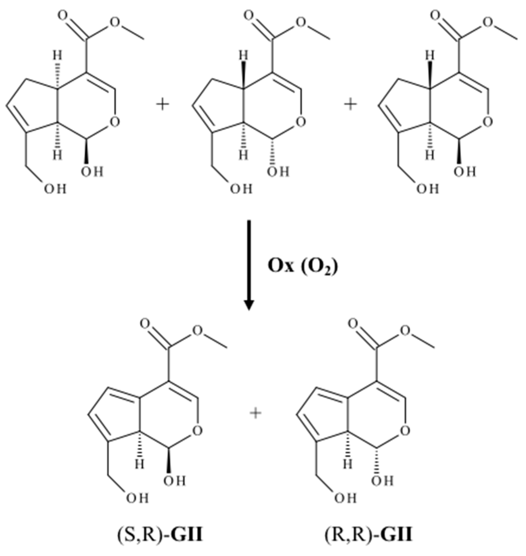 Ijms 21 06831 sch001 Ijms 21 06831 sch001