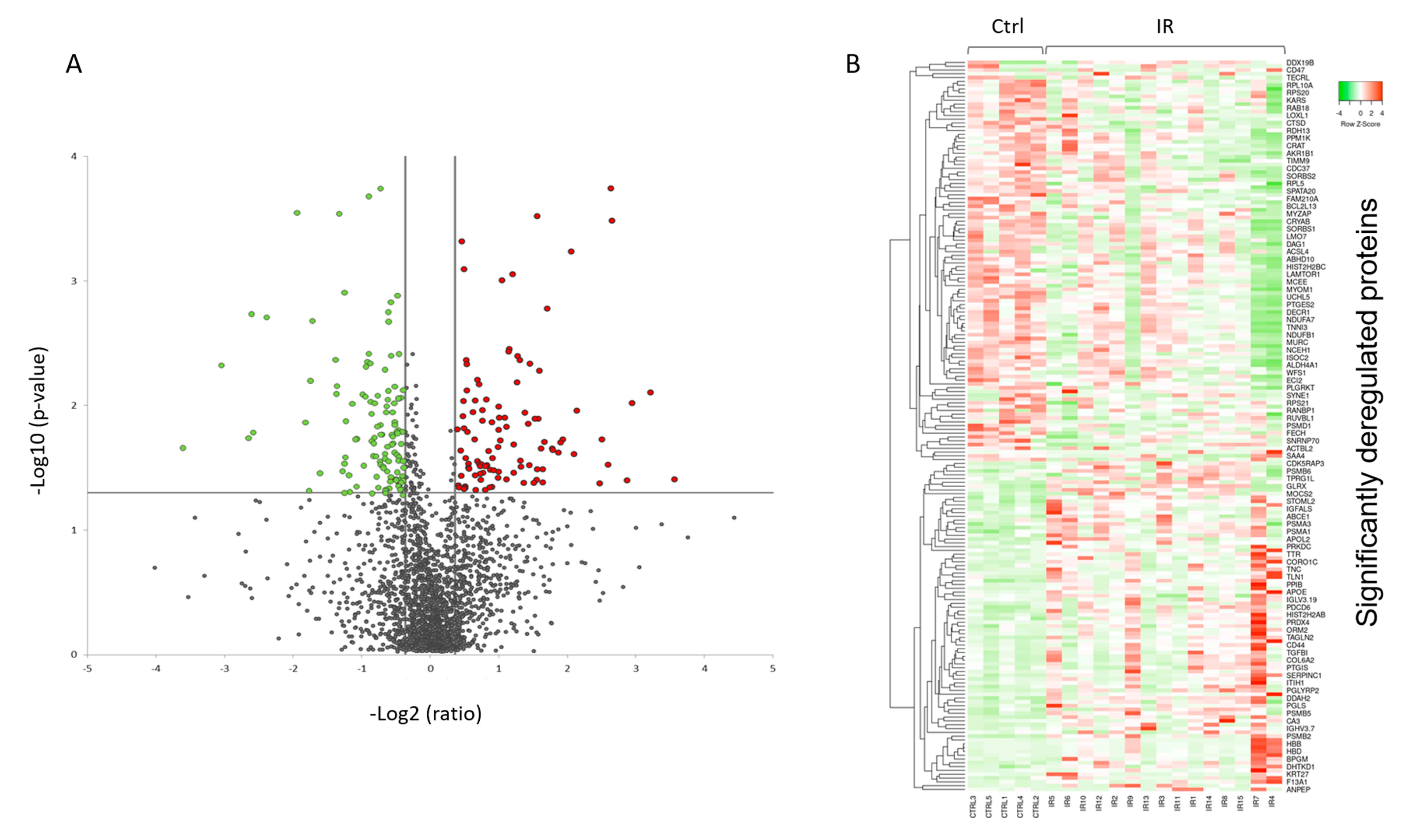 Ijms 21 06832 g004 Ijms 21 06832 g004