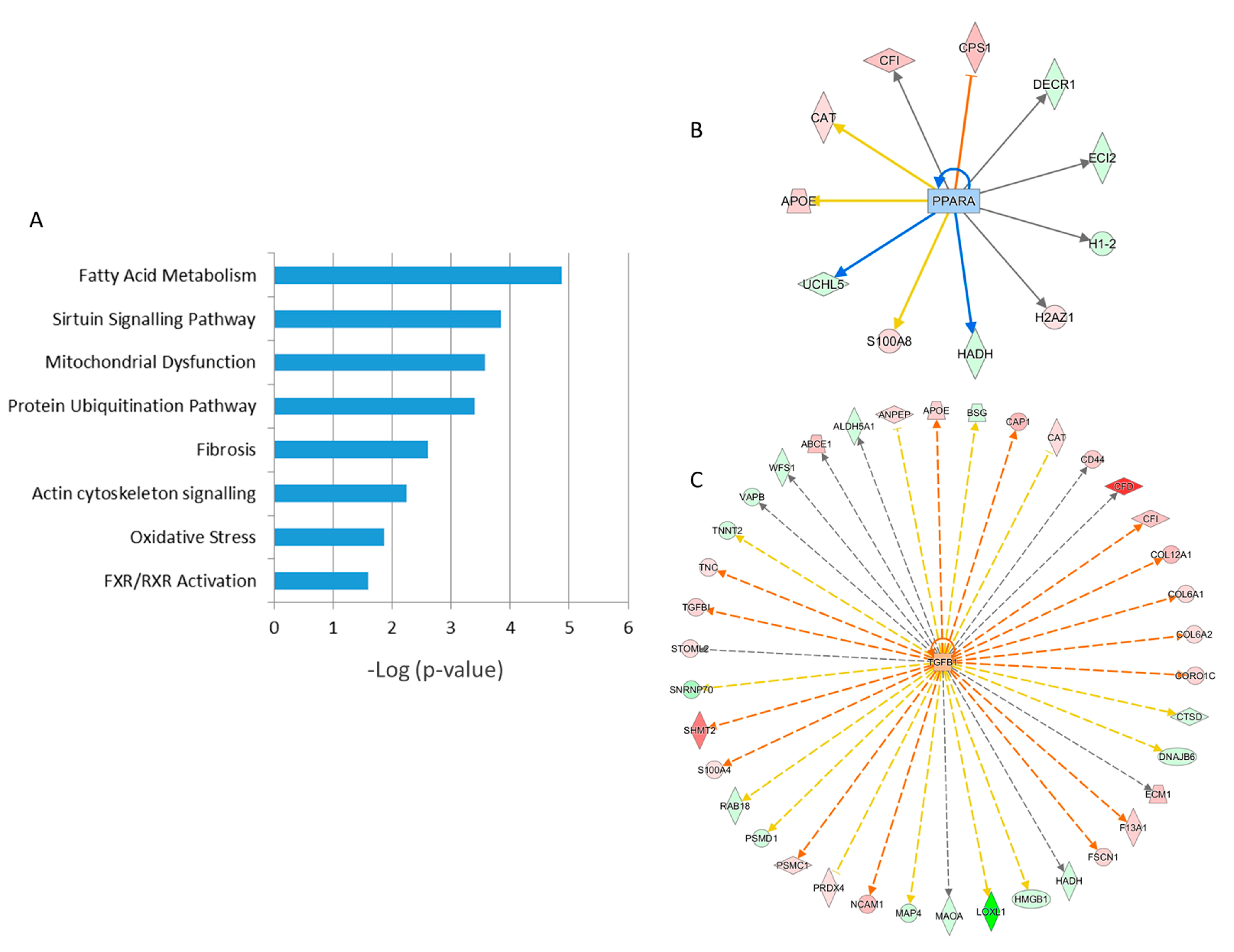 Ijms 21 06832 g005 Ijms 21 06832 g005