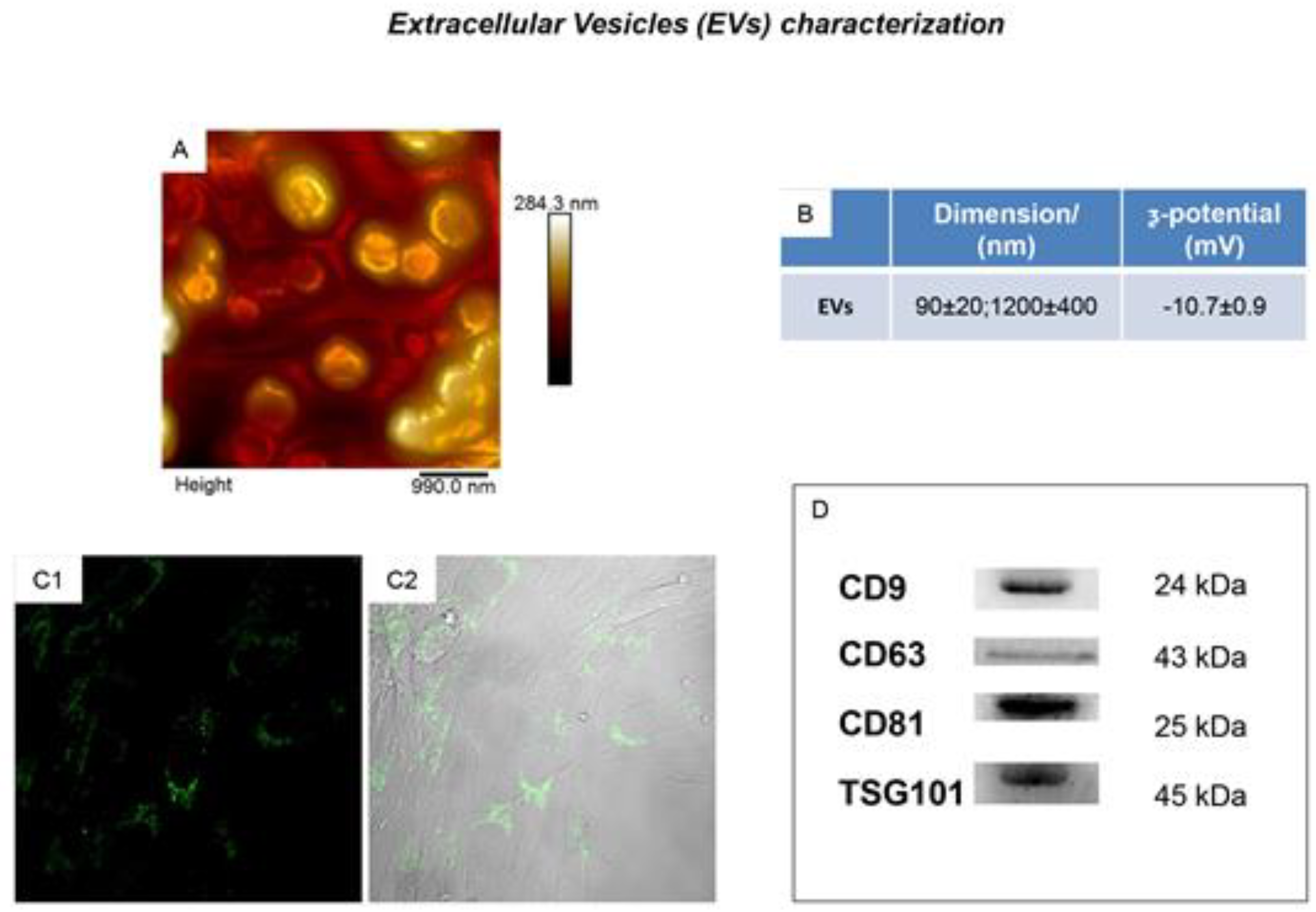 Ijms 21 06833 g001 Ijms 21 06833 g001