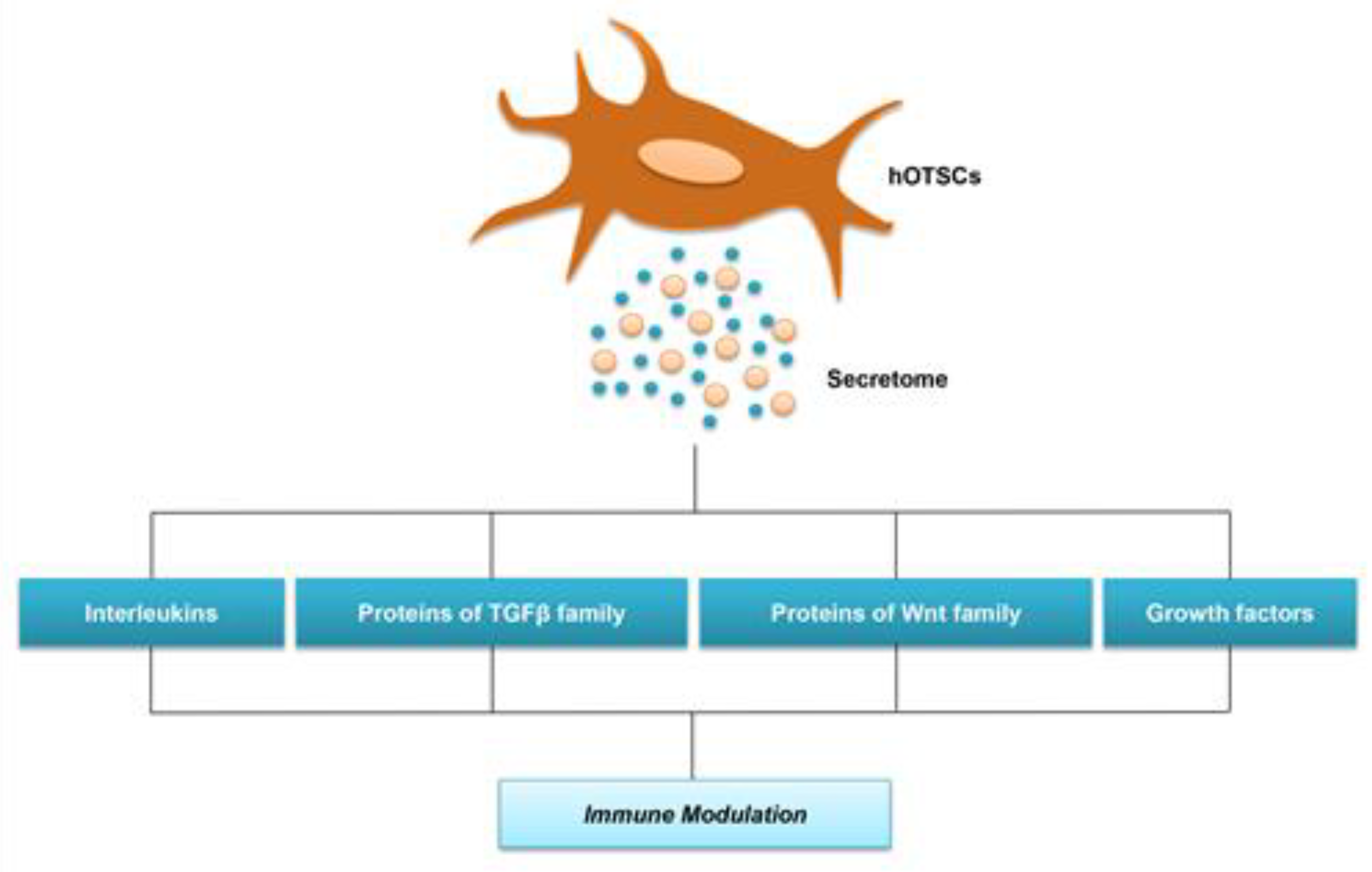 Ijms 21 06833 g002 Ijms 21 06833 g002