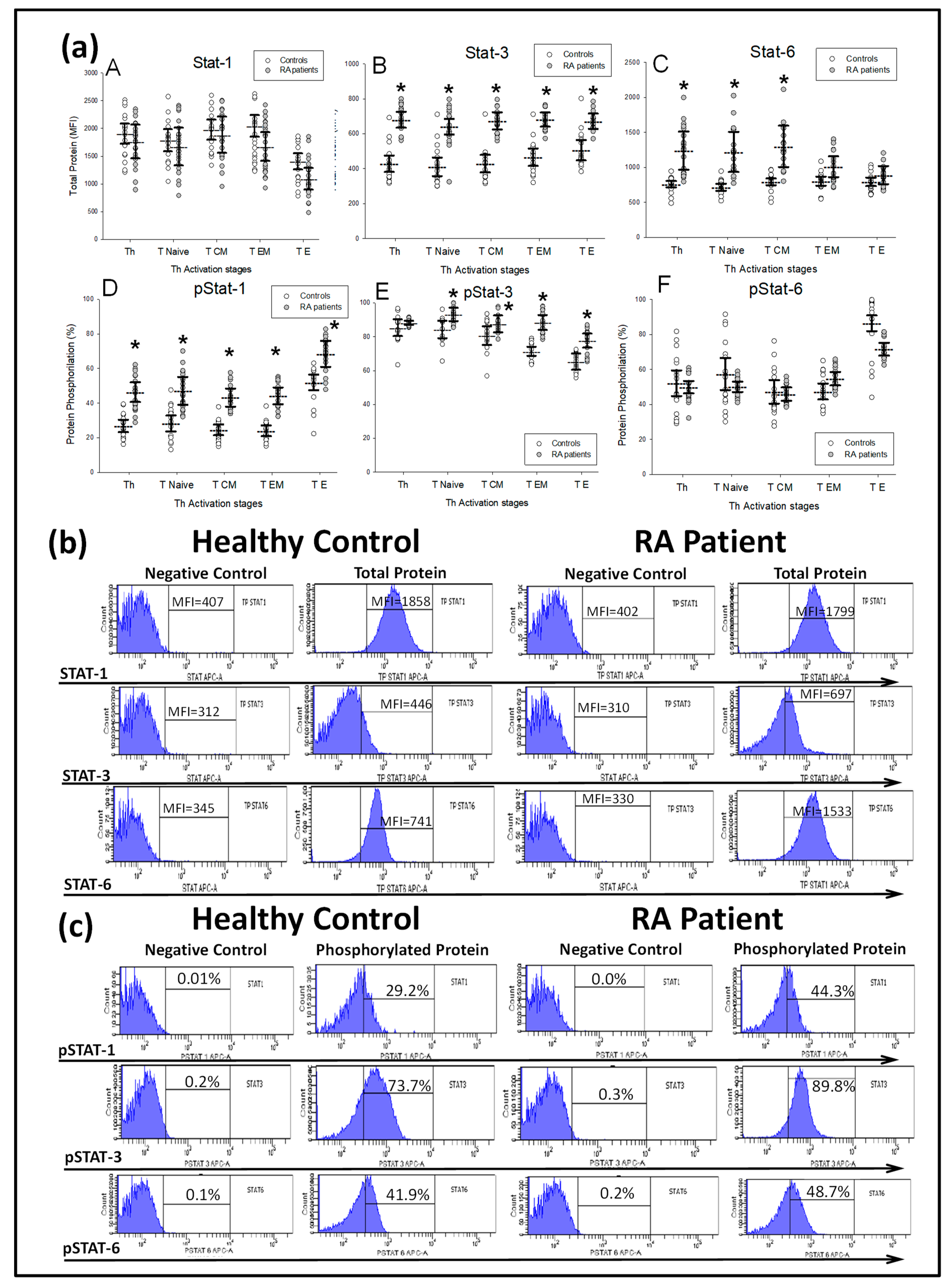 Ijms 21 06847 g003 Ijms 21 06847 g003
