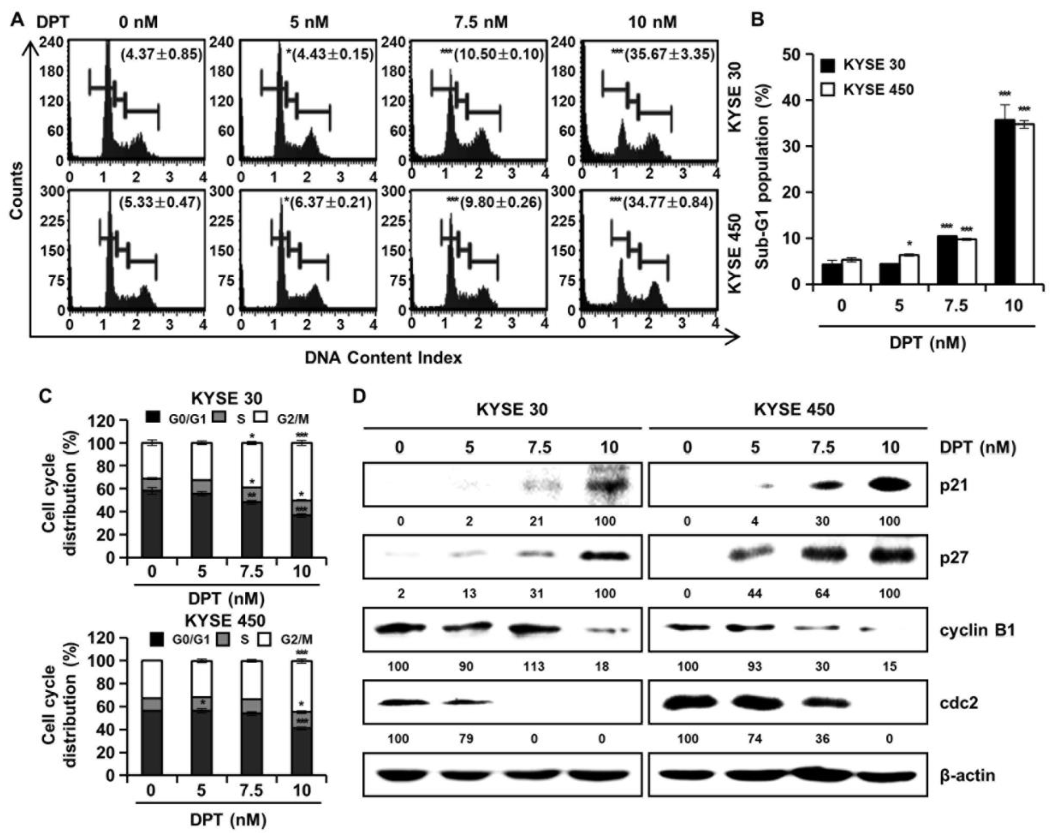 Ijms 21 06854 g003 Ijms 21 06854 g003