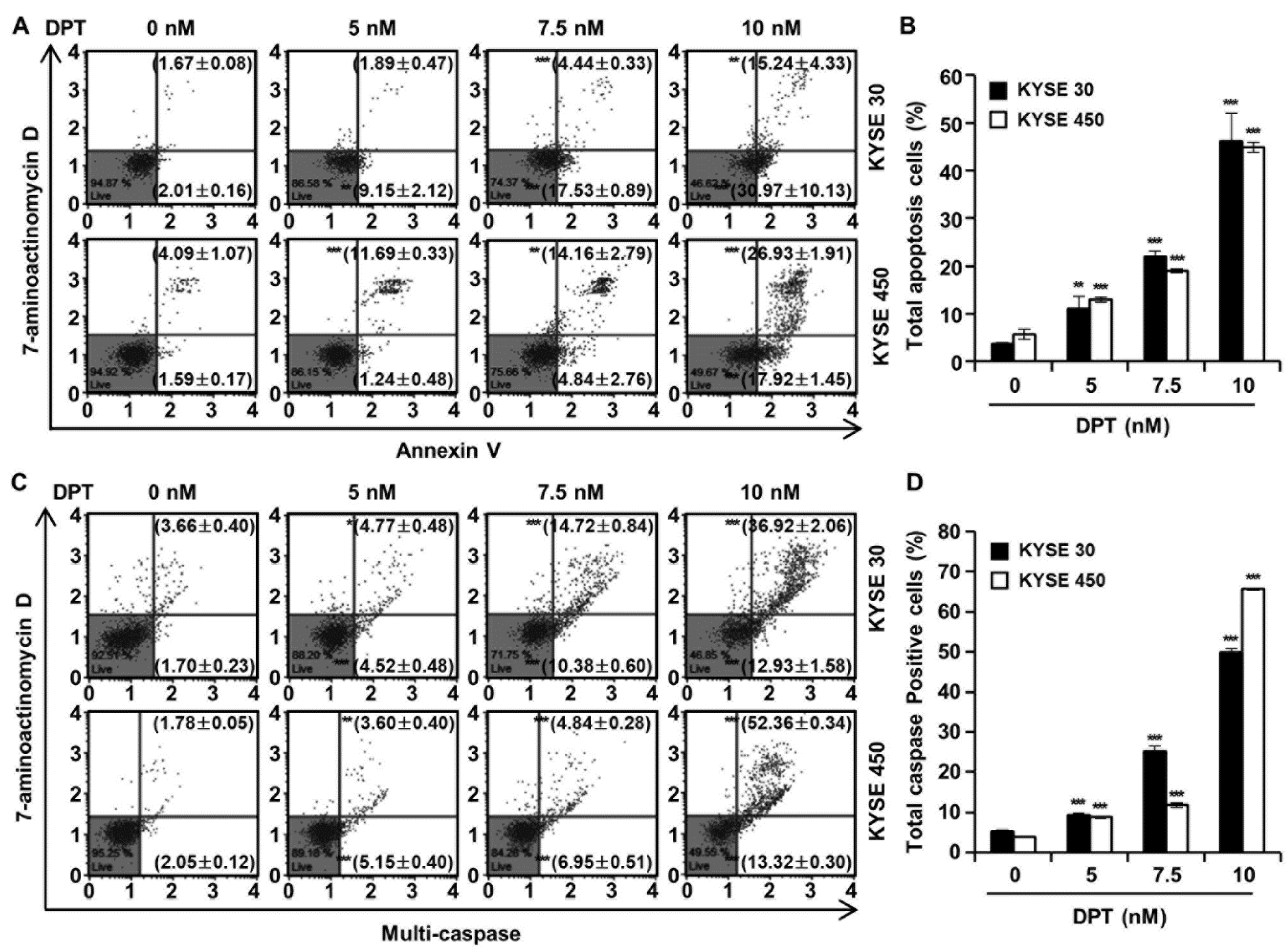 Ijms 21 06854 g004 Ijms 21 06854 g004