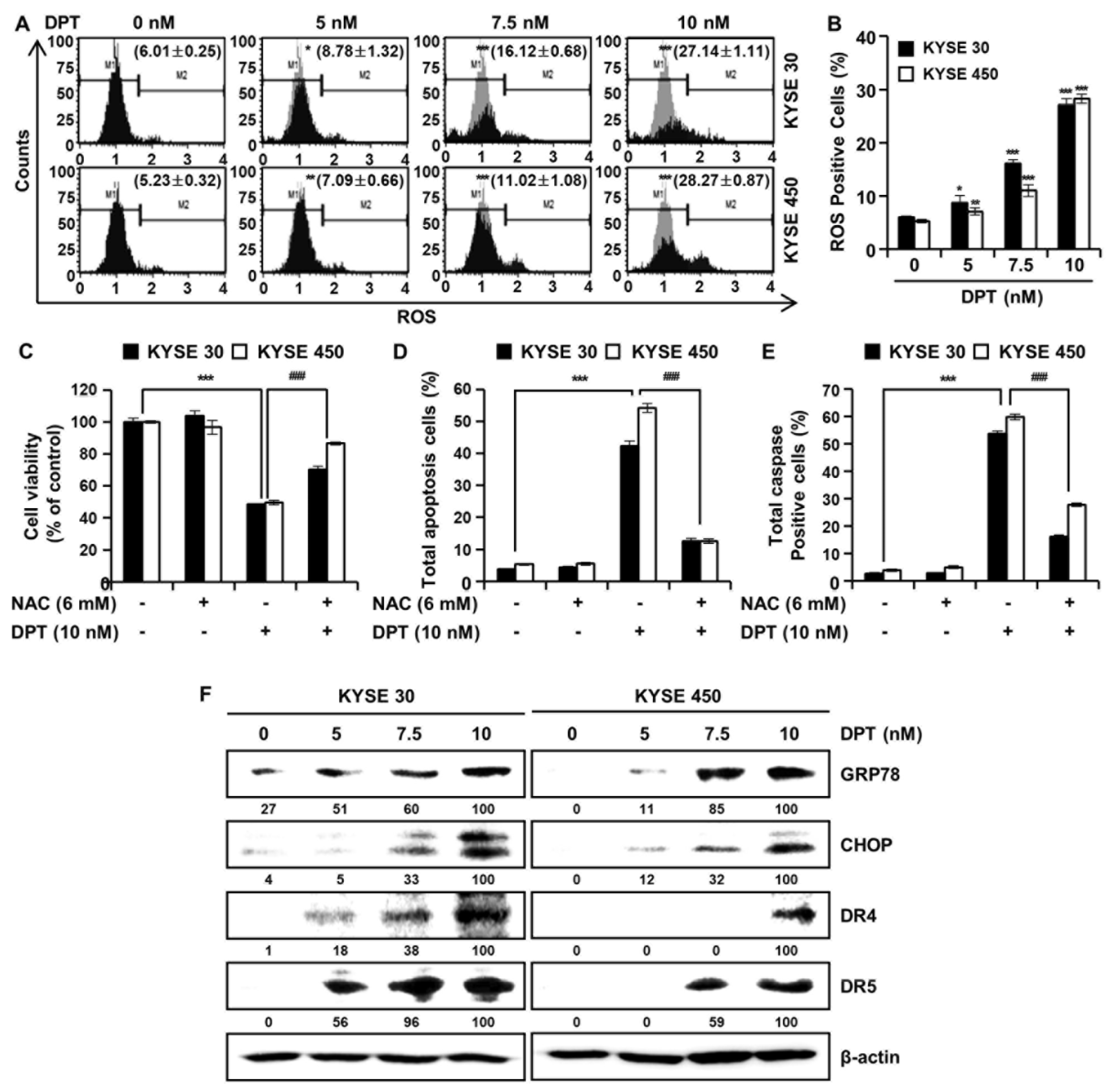 Ijms 21 06854 g005 Ijms 21 06854 g005
