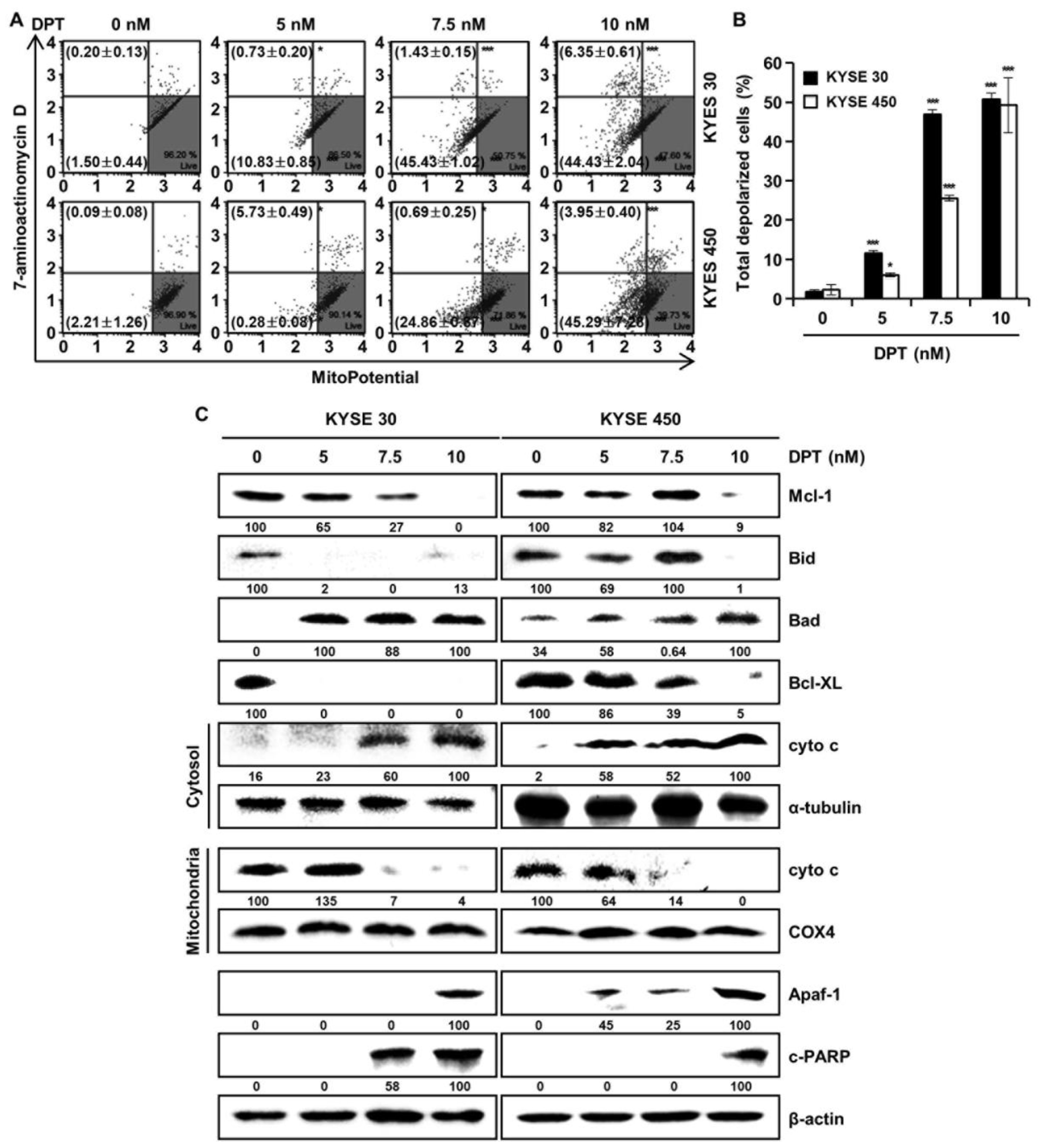 Ijms 21 06854 g006 Ijms 21 06854 g006