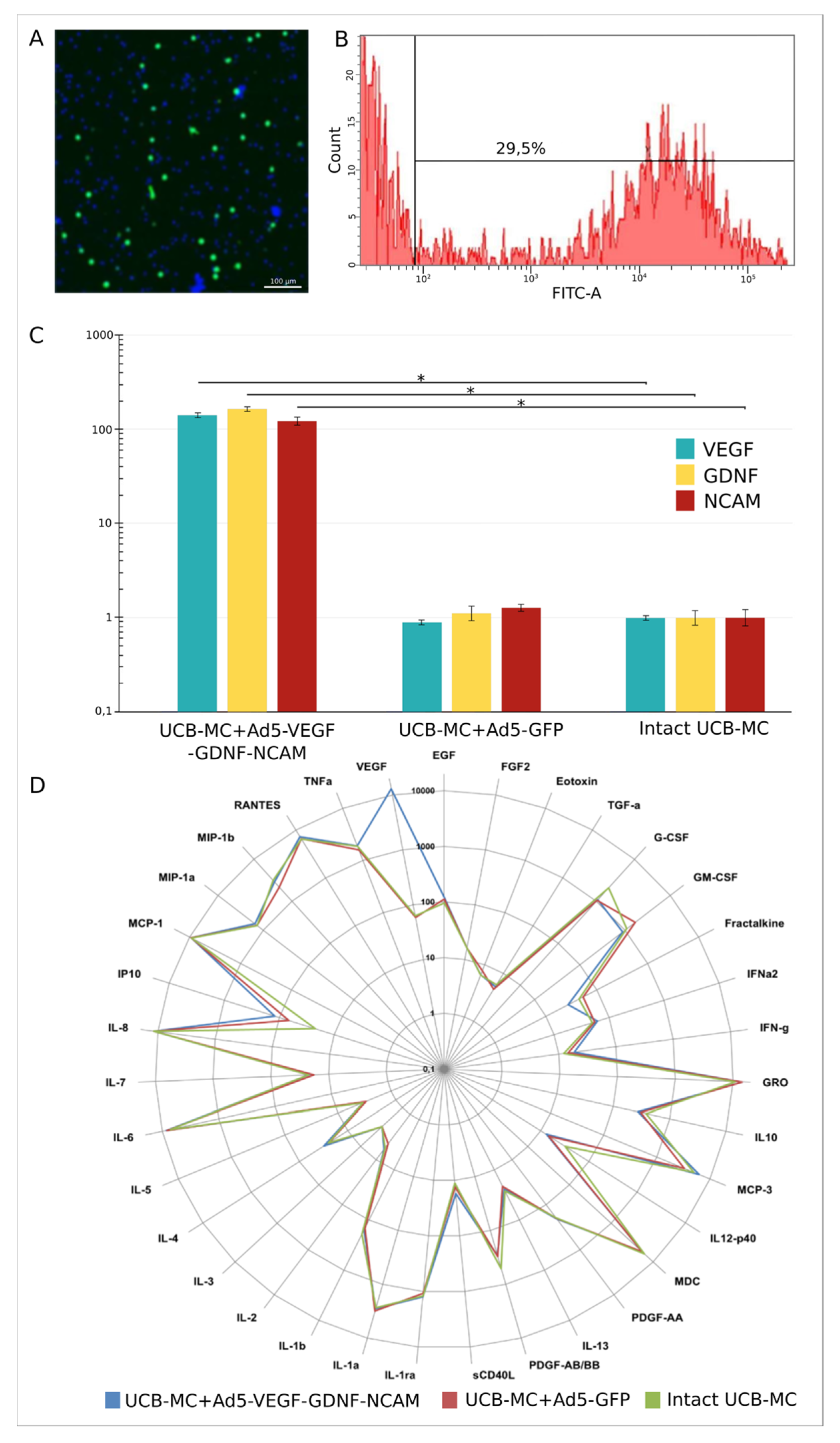 Ijms 21 06858 g001 Ijms 21 06858 g001