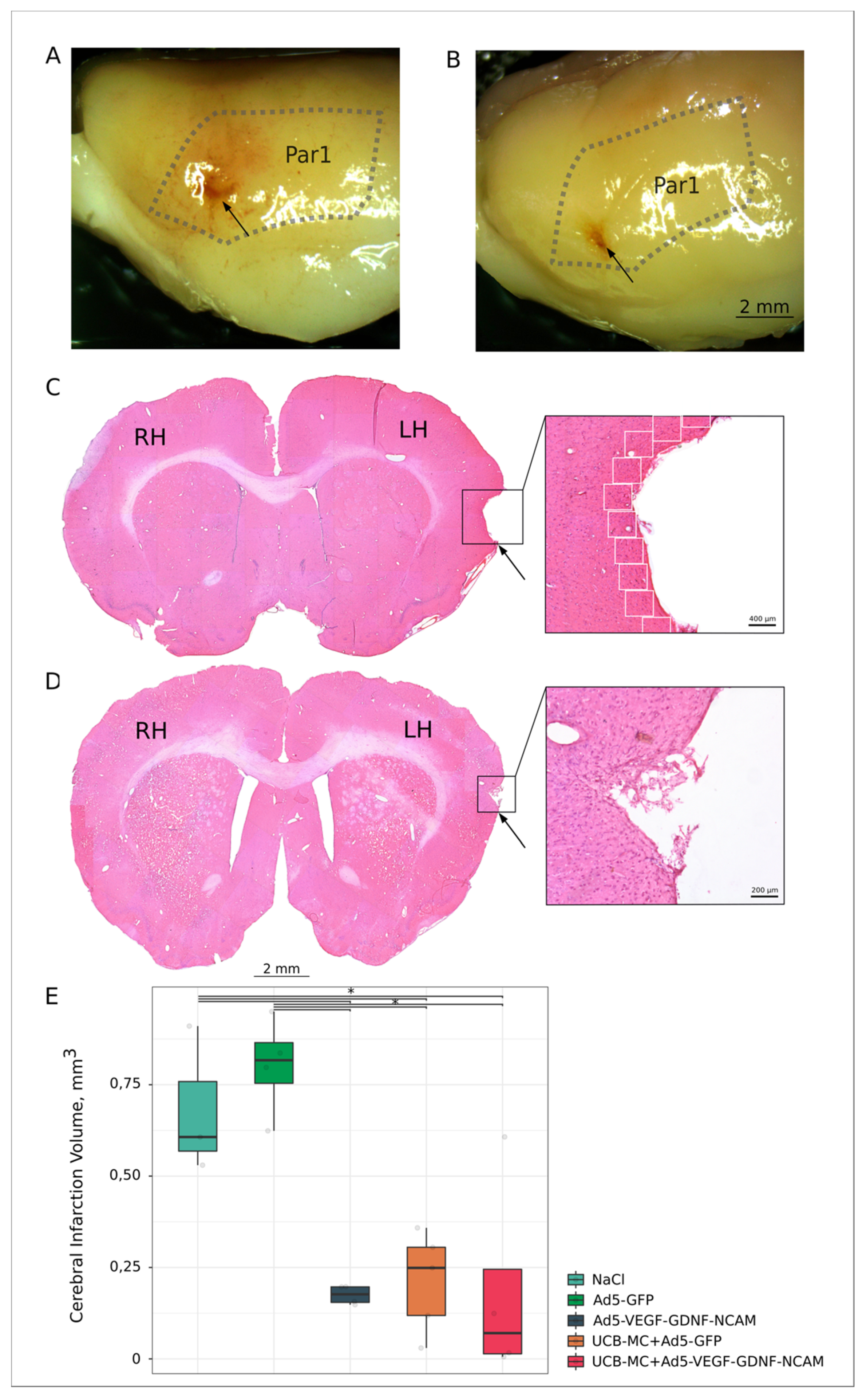 Ijms 21 06858 g002 Ijms 21 06858 g002