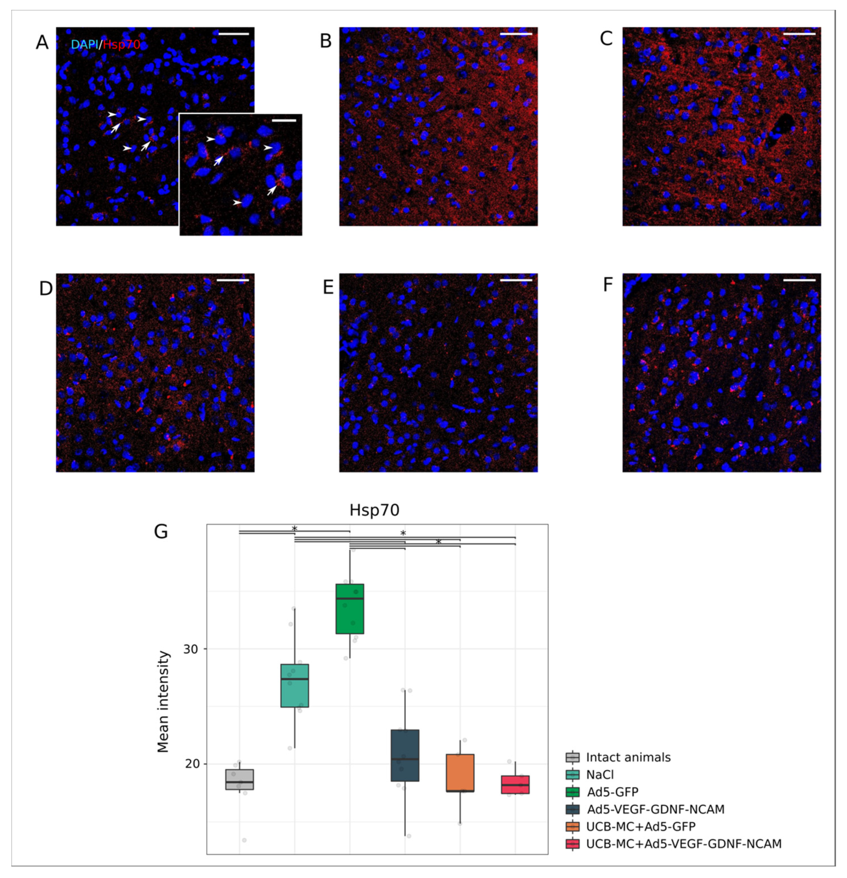 Ijms 21 06858 g003 Ijms 21 06858 g003