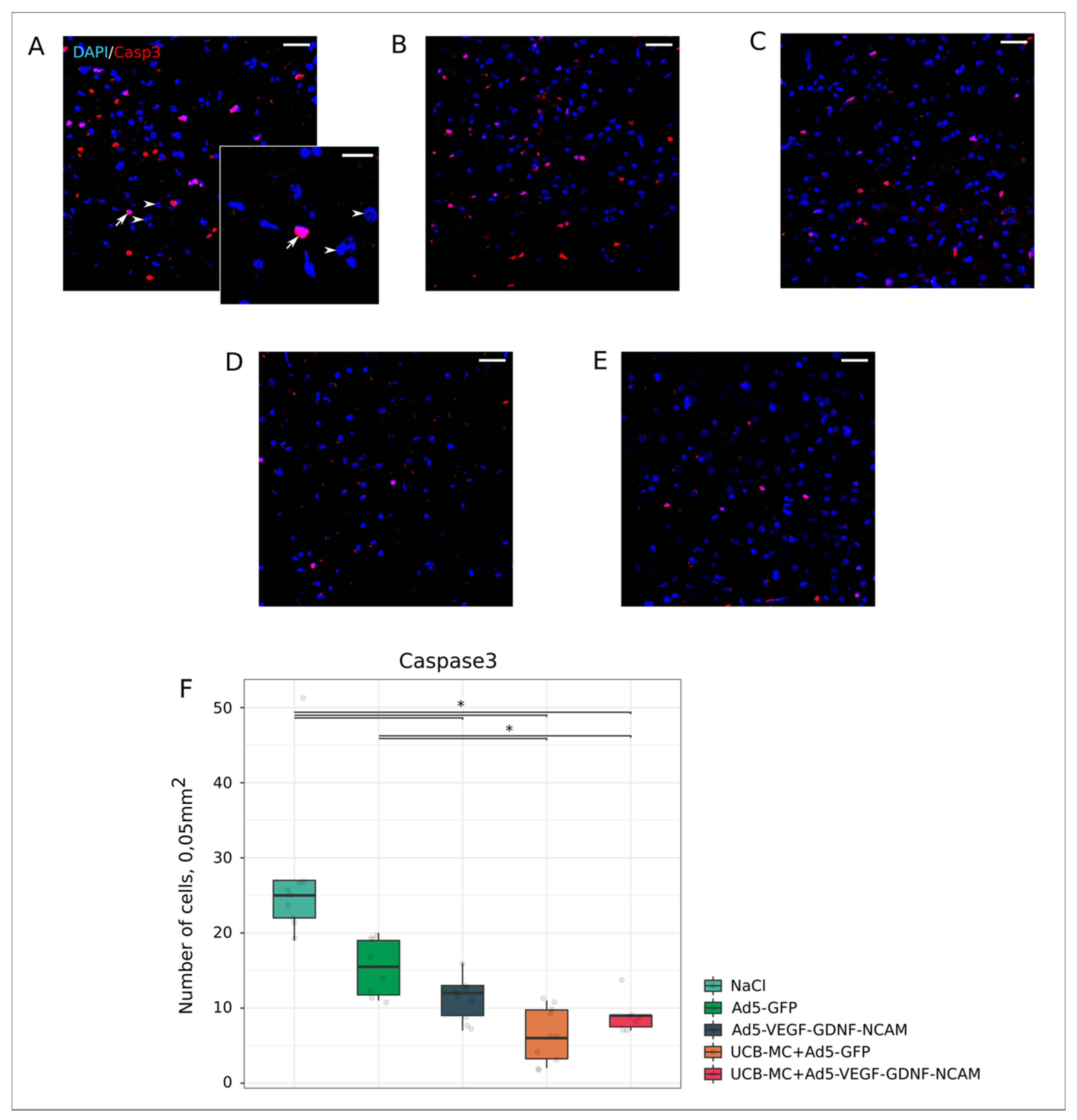 Ijms 21 06858 g004 Ijms 21 06858 g004