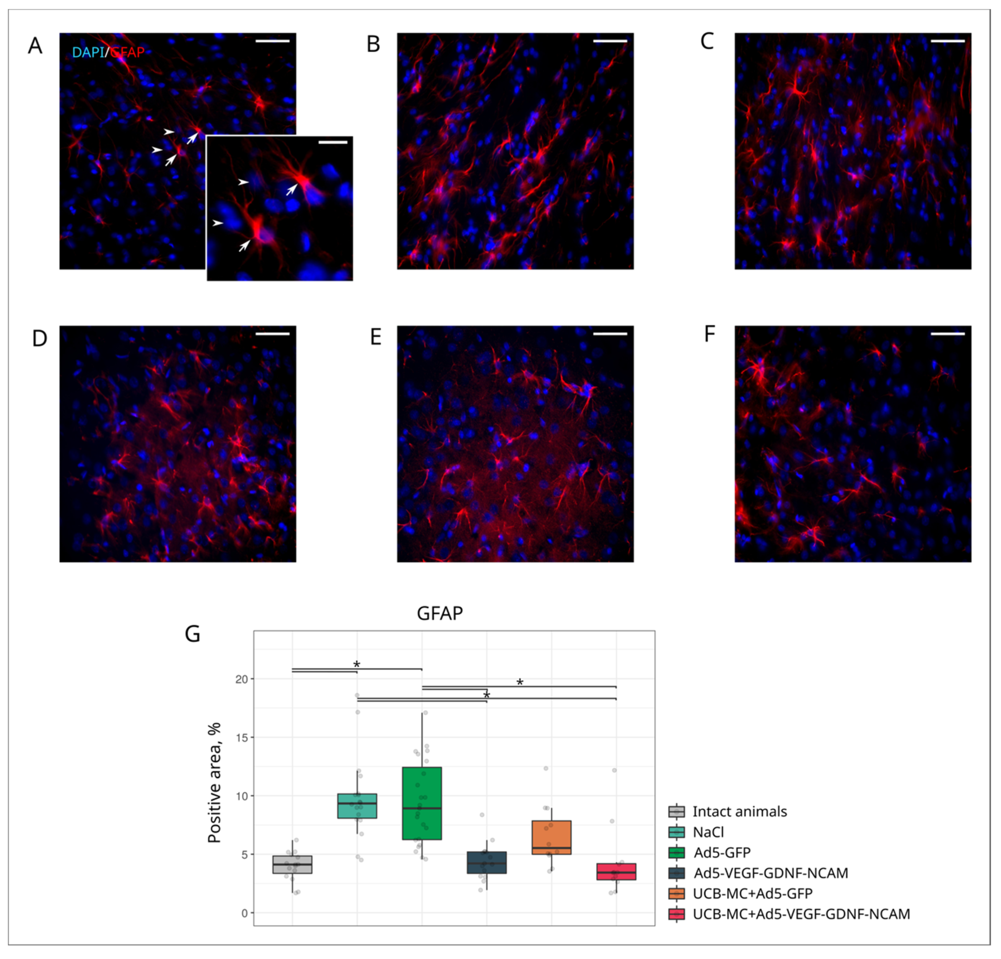 Ijms 21 06858 g006 Ijms 21 06858 g006