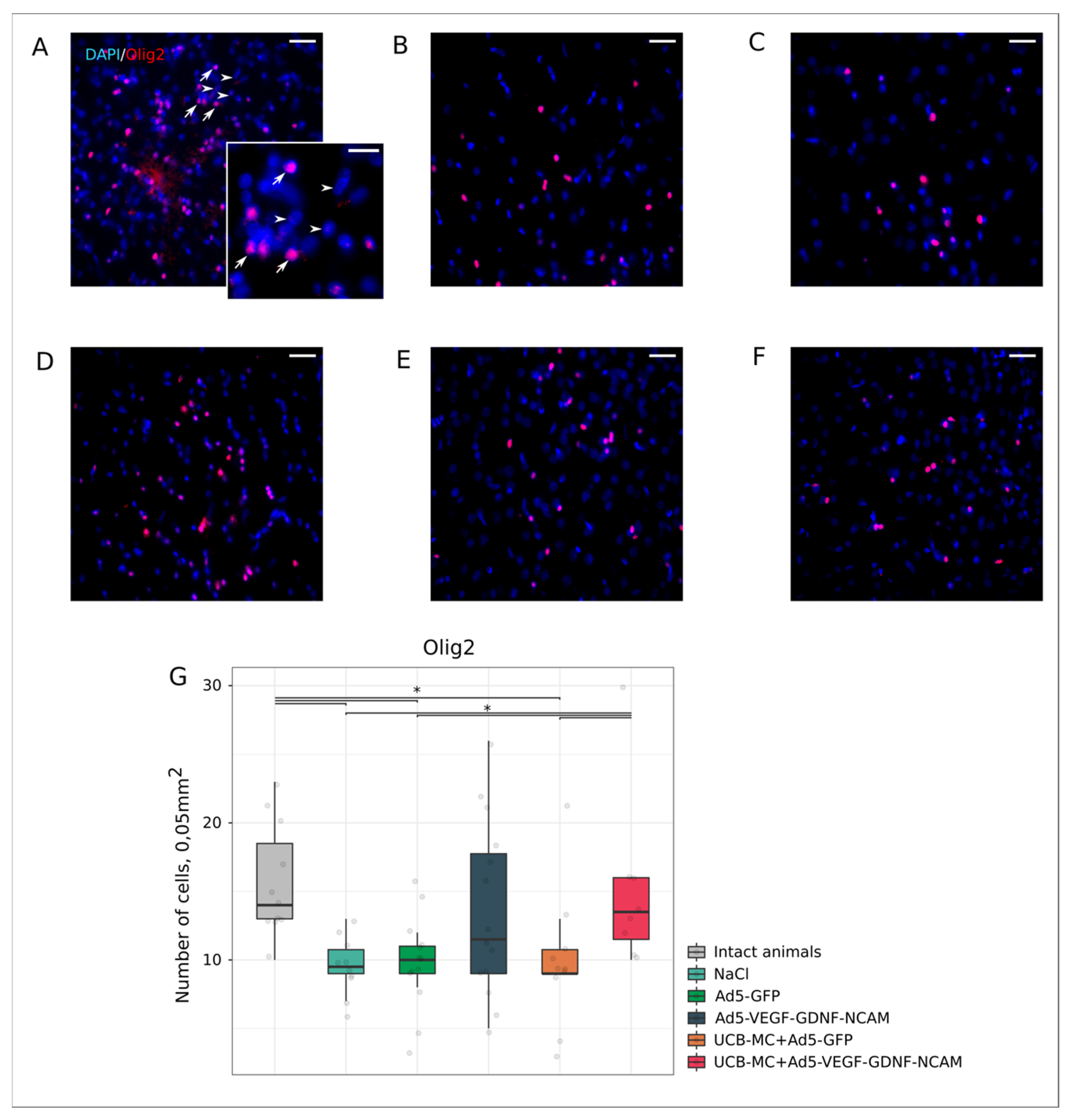 Ijms 21 06858 g007 Ijms 21 06858 g007