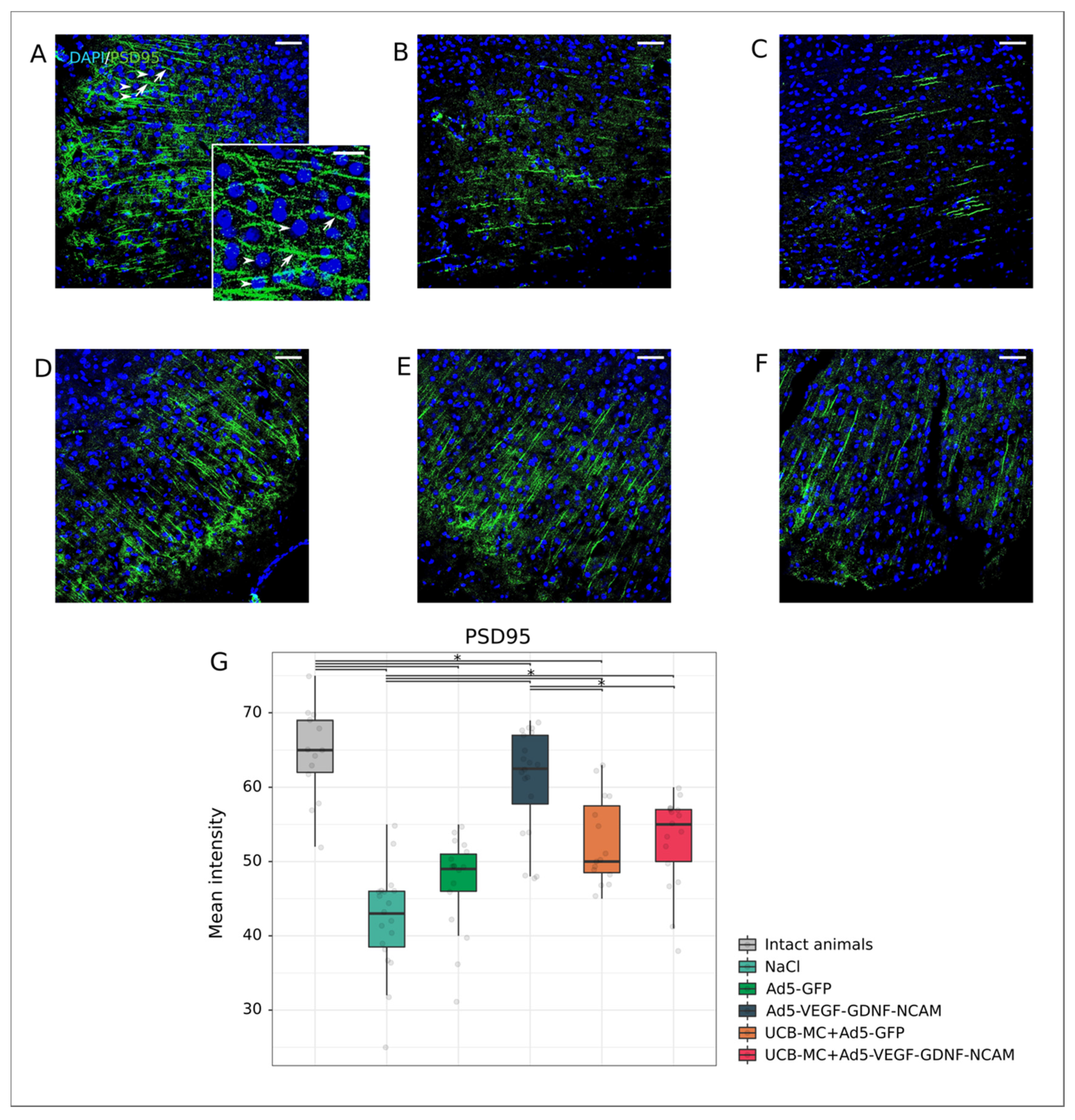 Ijms 21 06858 g009 Ijms 21 06858 g009