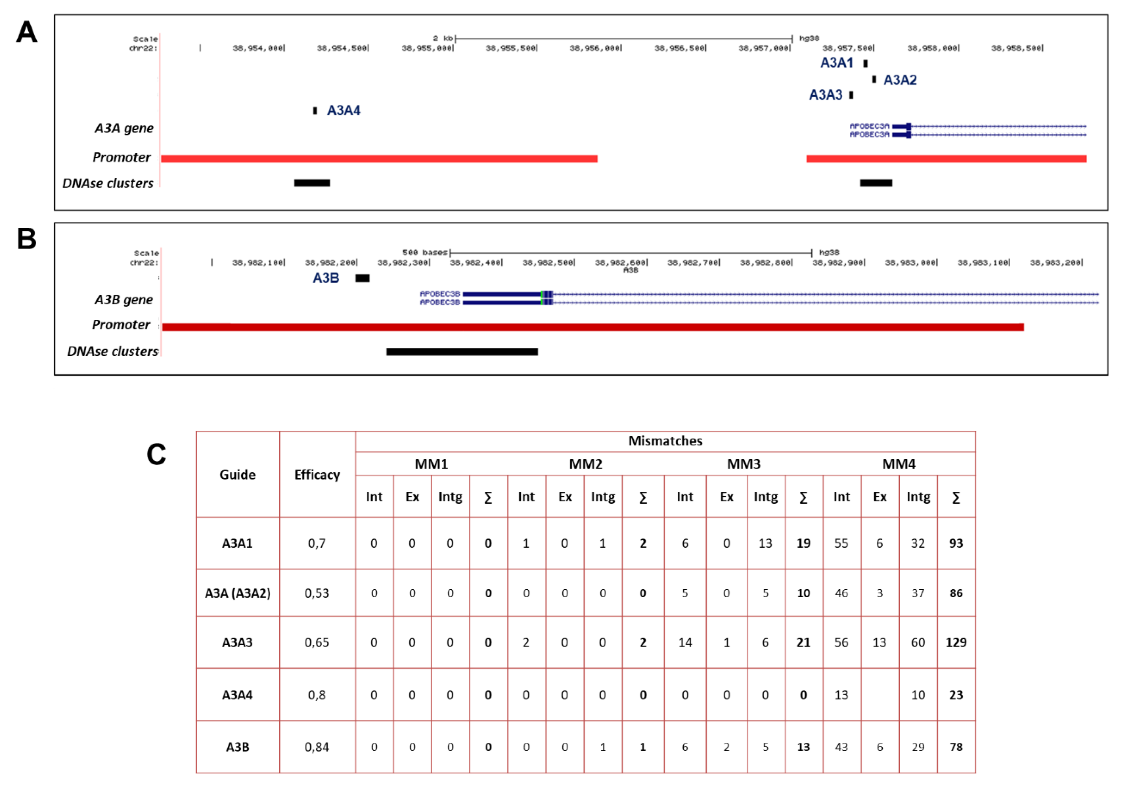 Ijms 21 06865 g001 Ijms 21 06865 g001