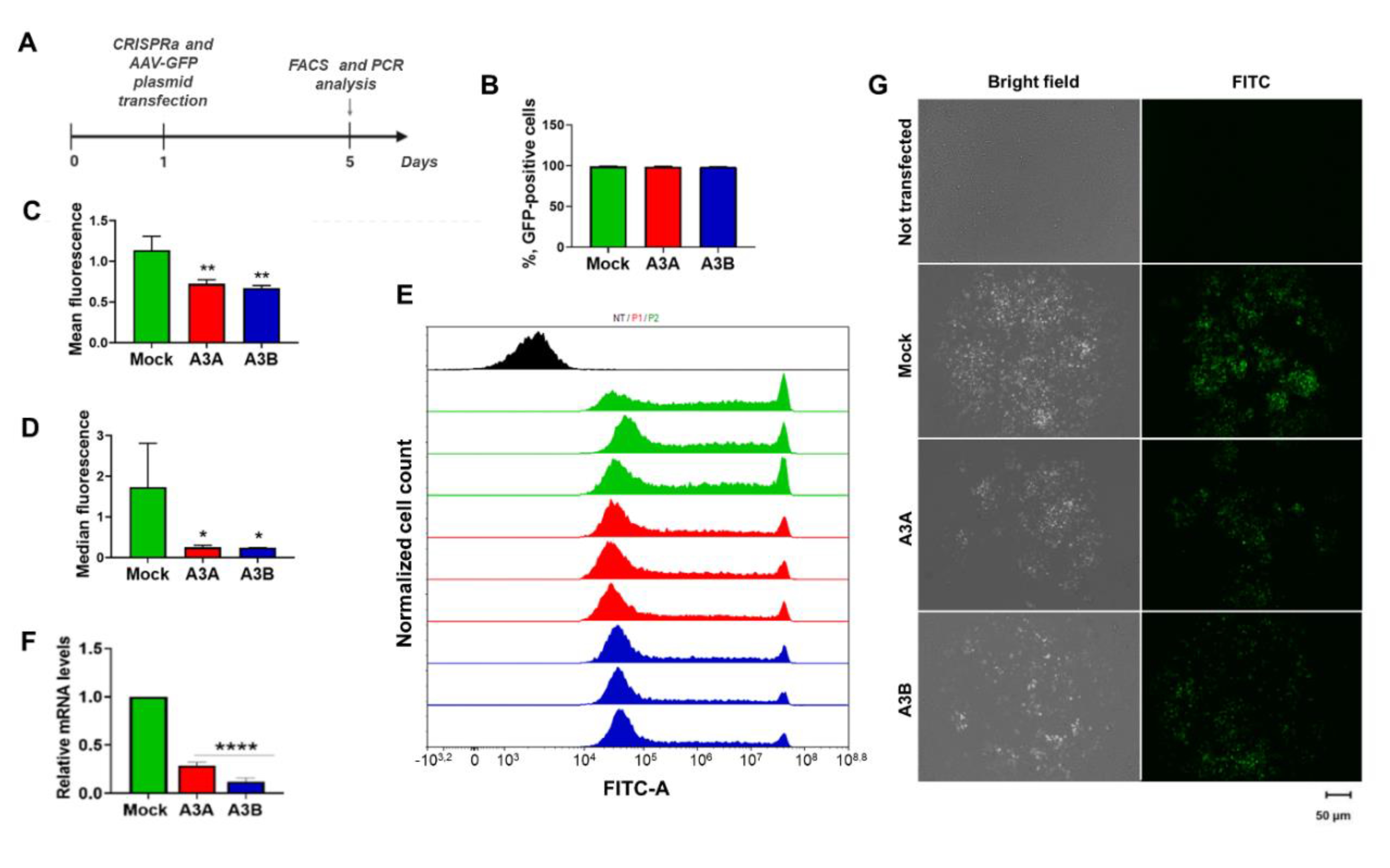 Ijms 21 06865 g003 Ijms 21 06865 g003