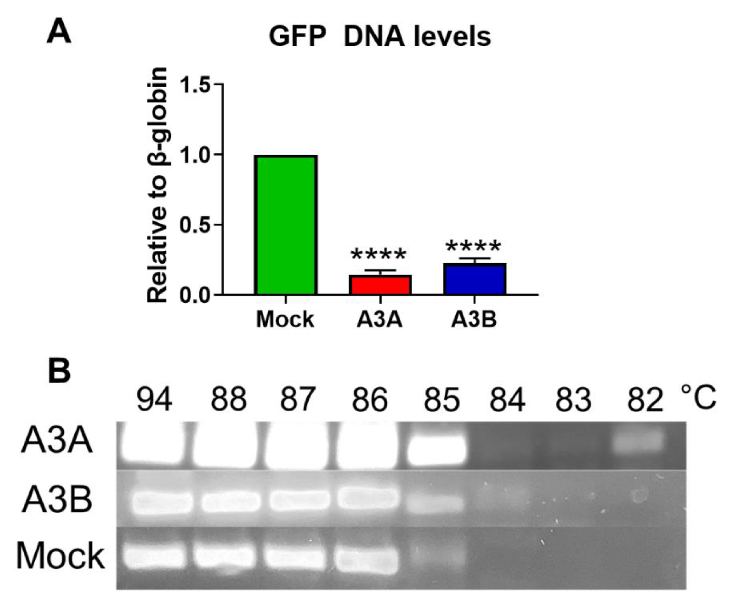Ijms 21 06865 g005 Ijms 21 06865 g005