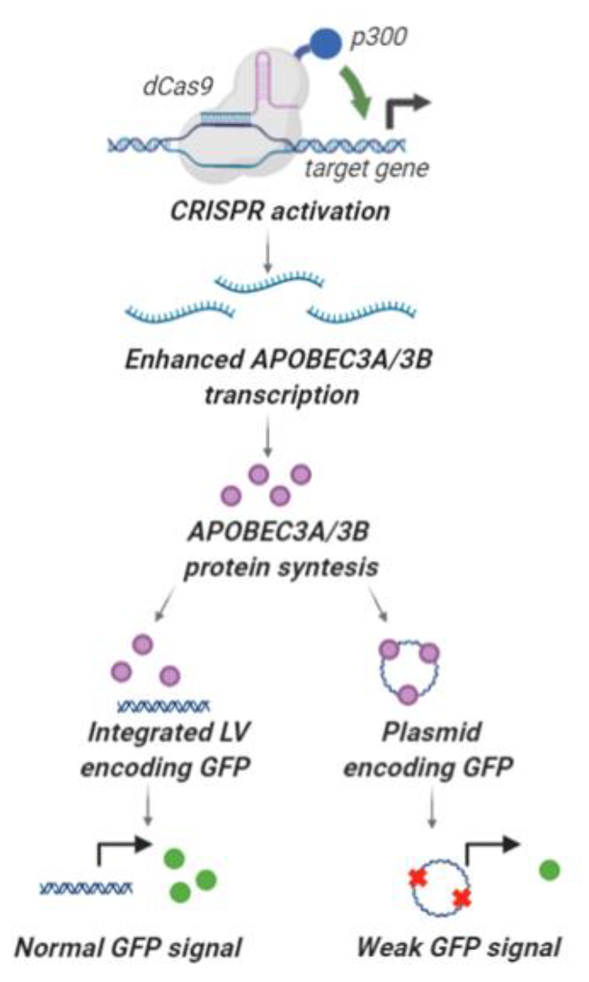 Ijms 21 06865 g008 Ijms 21 06865 g008