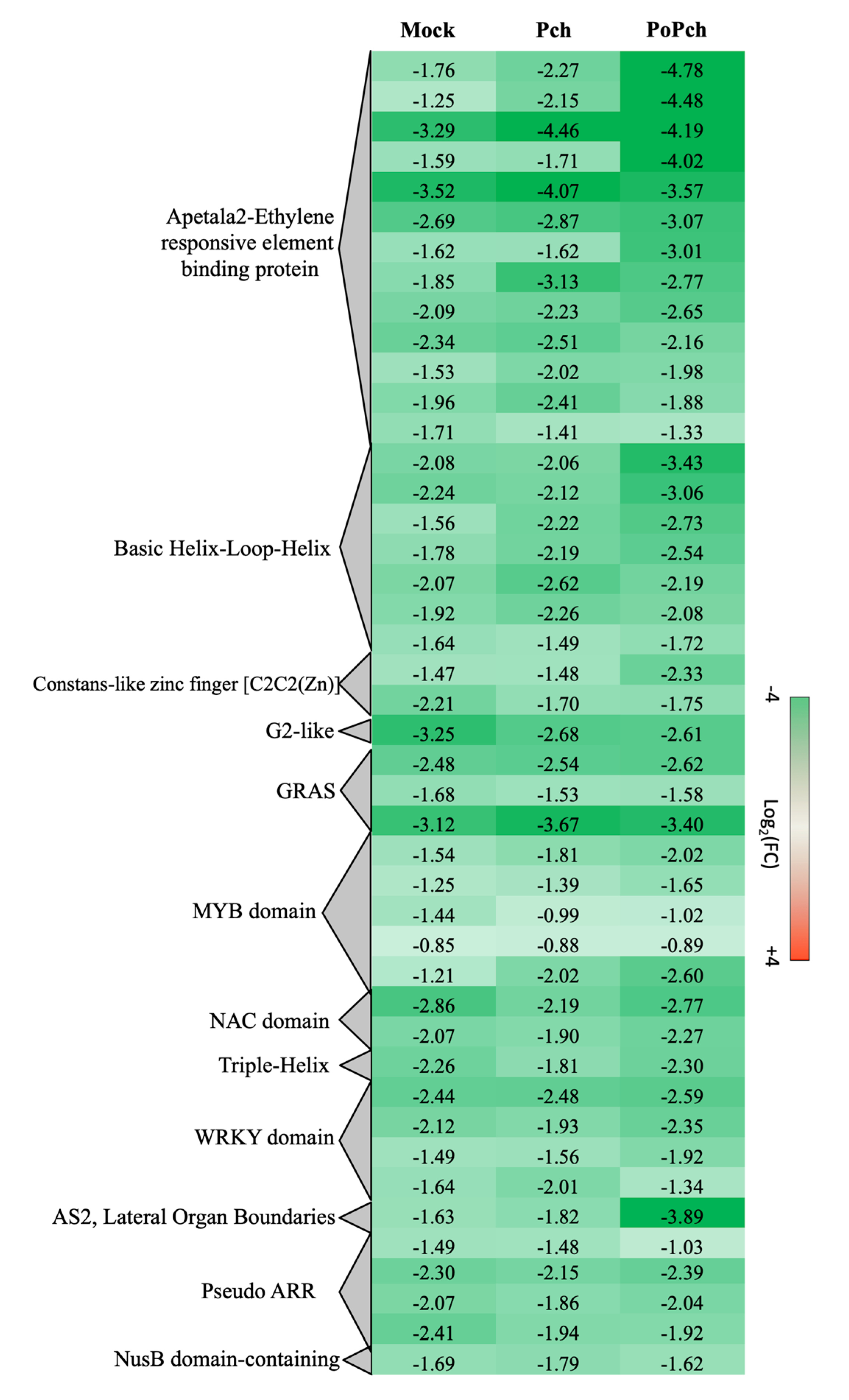 Ijms 21 06876 g005 Ijms 21 06876 g005