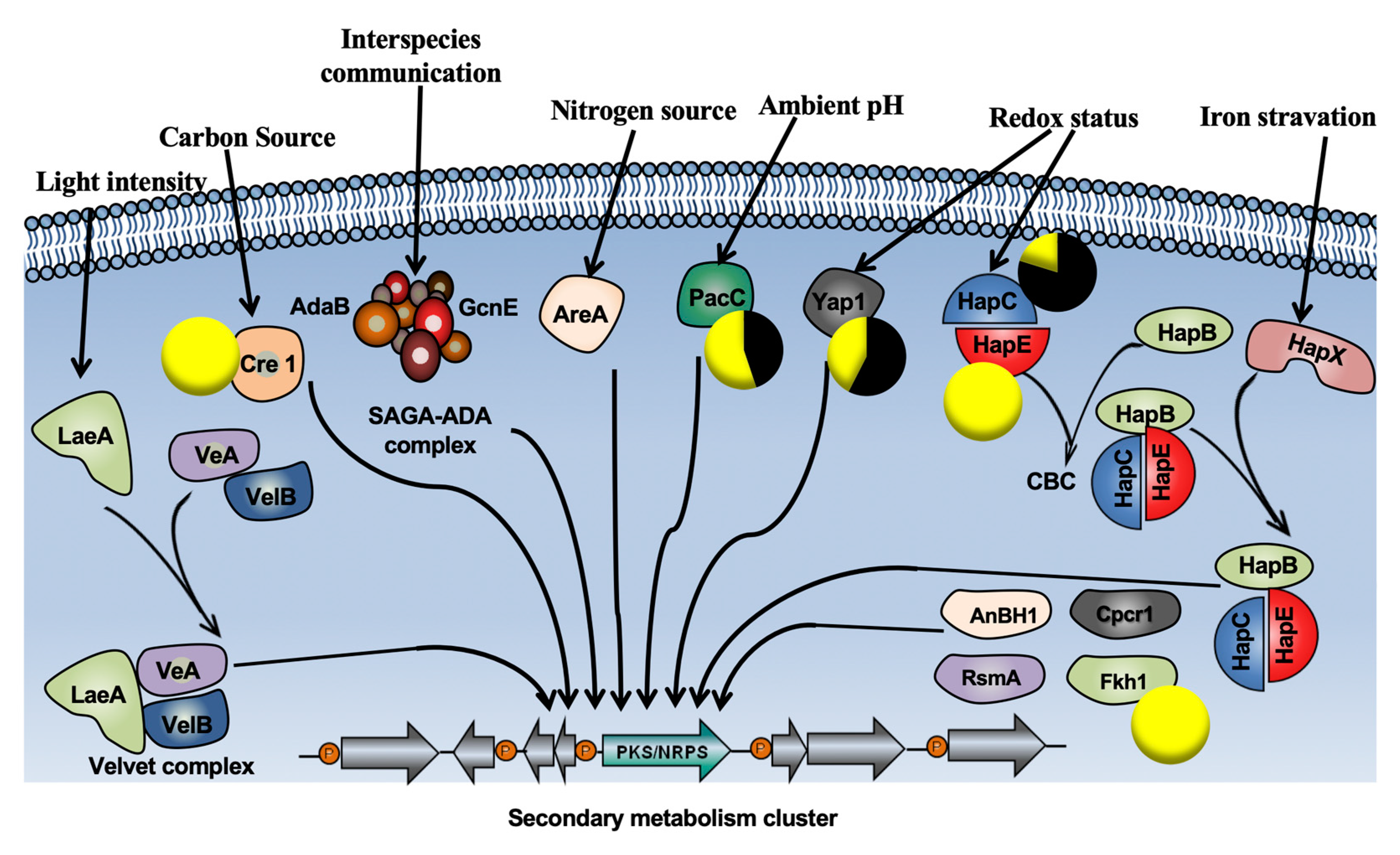Ijms 21 06876 g009 Ijms 21 06876 g009