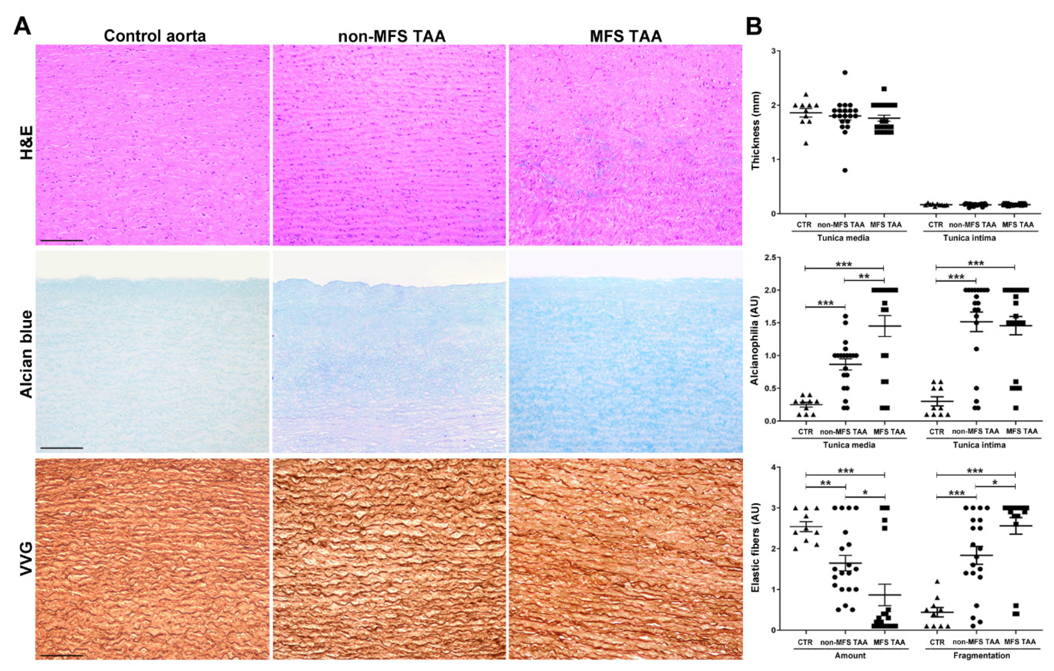 Ijms 21 06886 g001 Ijms 21 06886 g001
