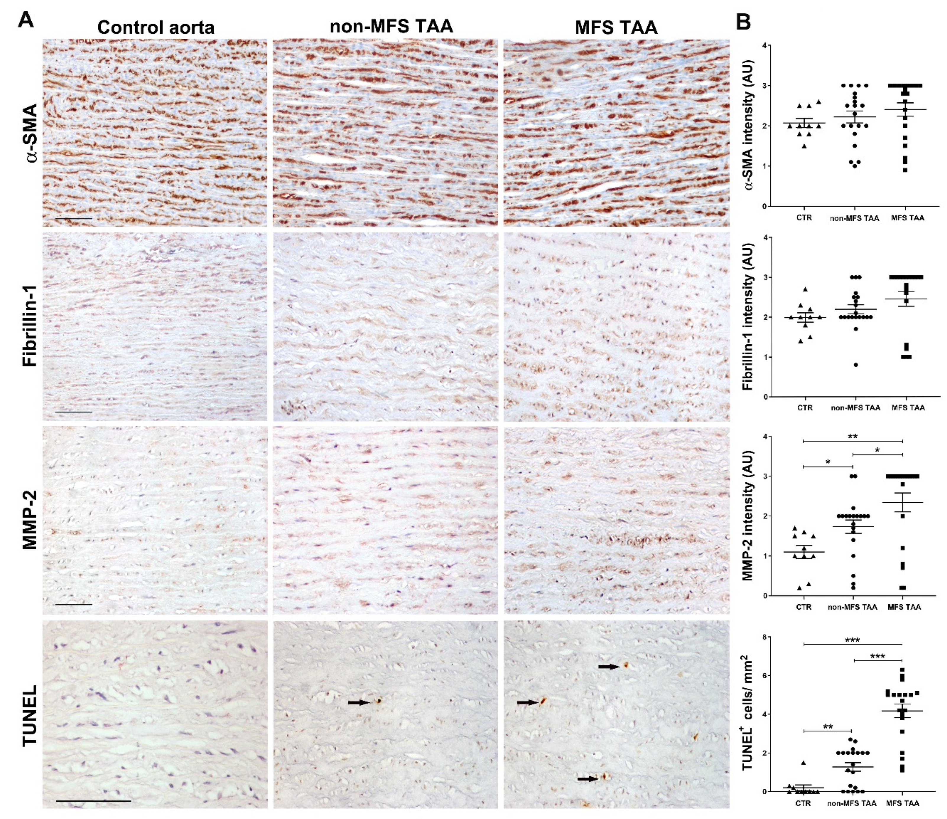 Ijms 21 06886 g002 Ijms 21 06886 g002