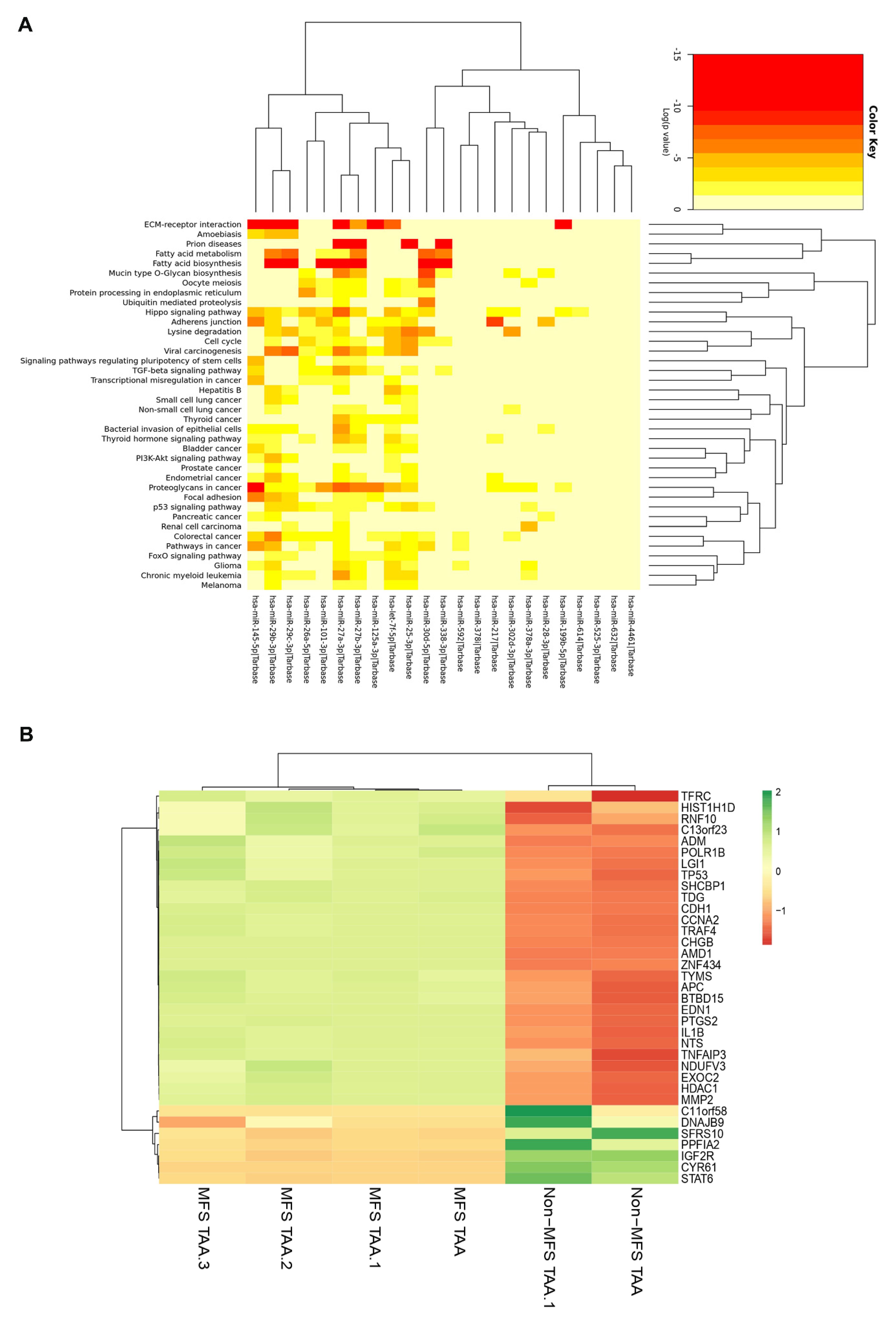 Ijms 21 06886 g005 Ijms 21 06886 g005