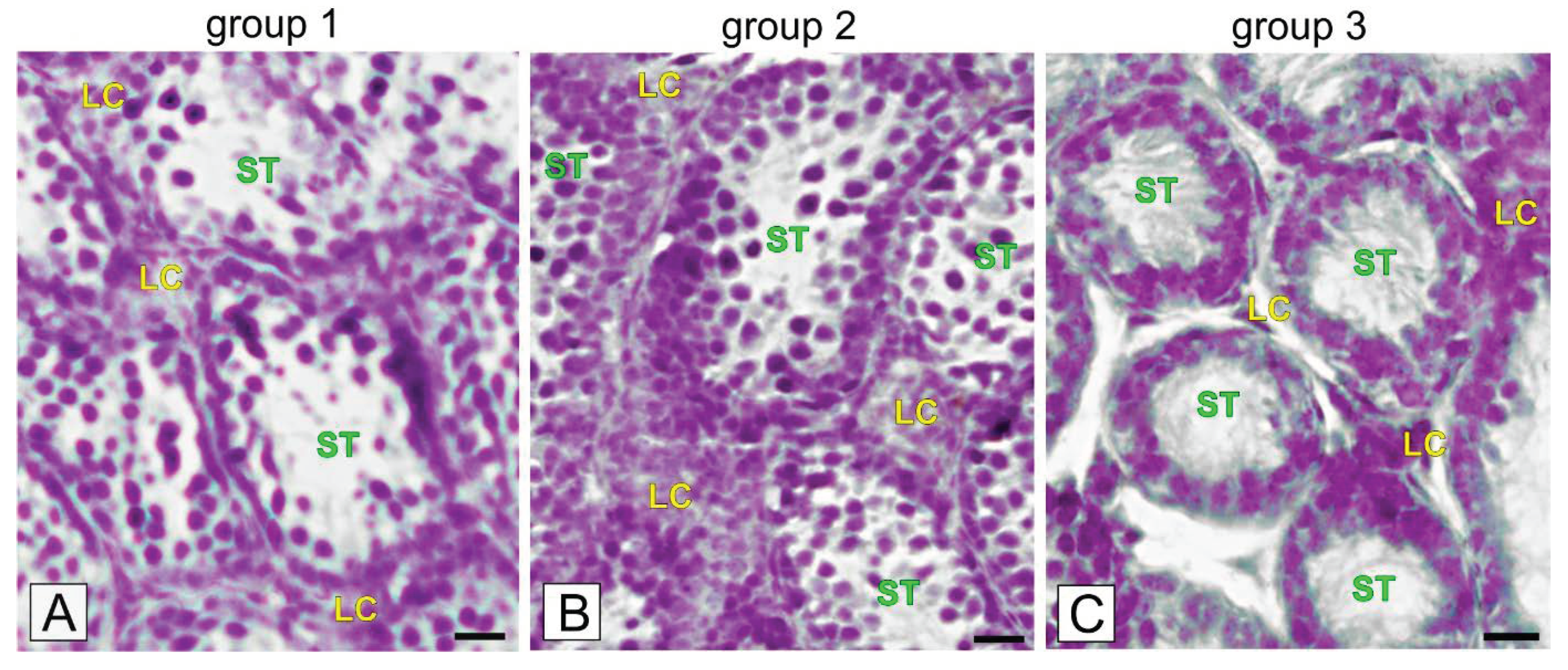 Ijms 21 06888 g002 Ijms 21 06888 g002