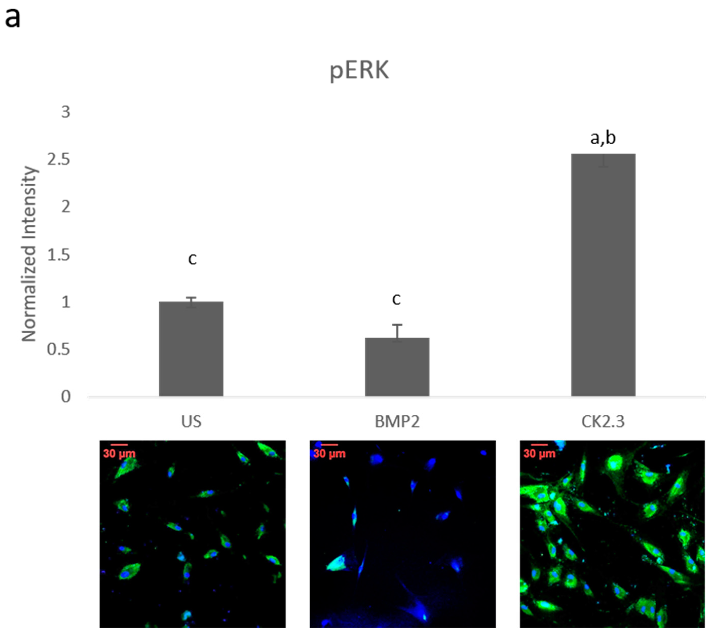 Ijms 21 06909 g001a Ijms 21 06909 g001a