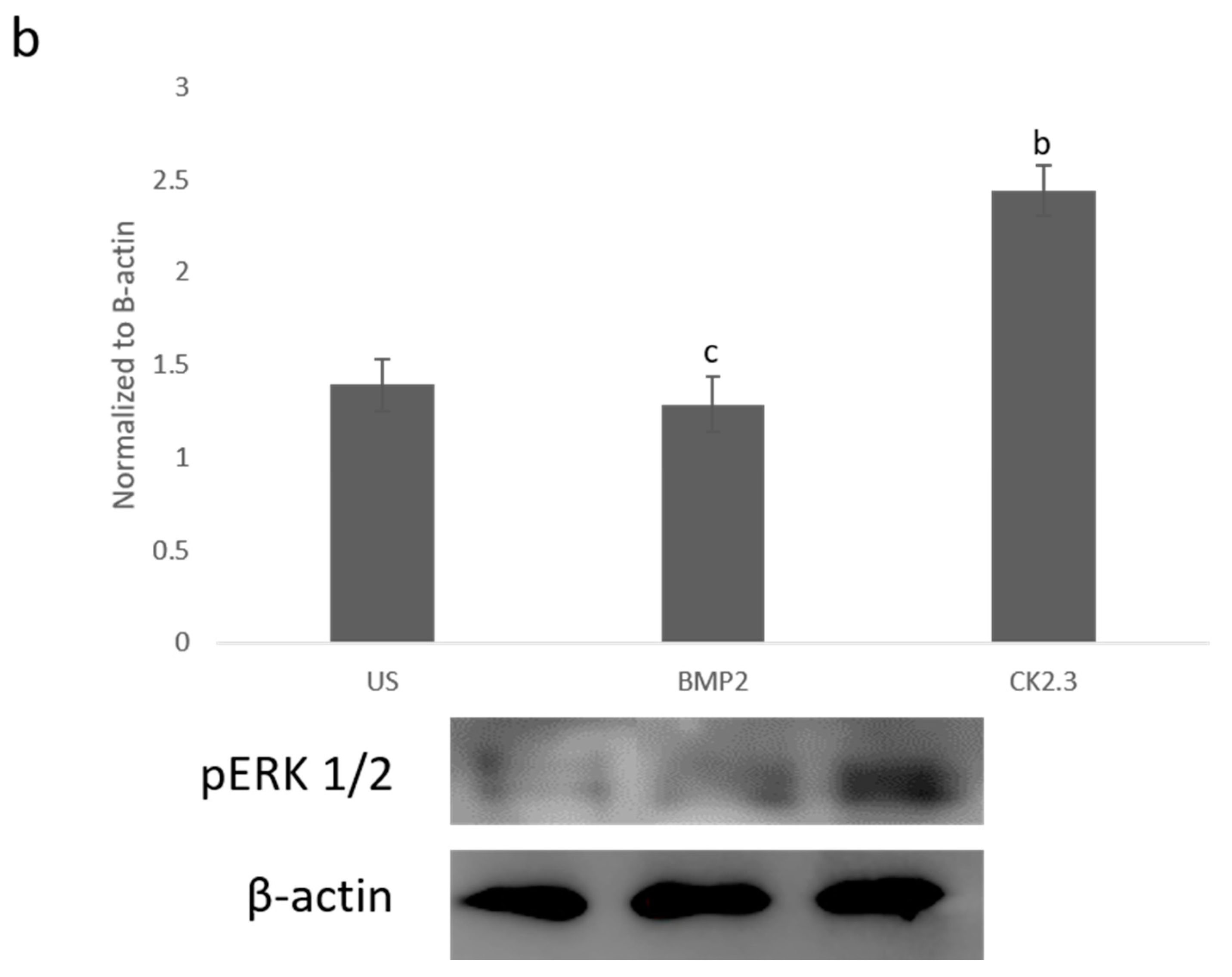 Ijms 21 06909 g001b Ijms 21 06909 g001b