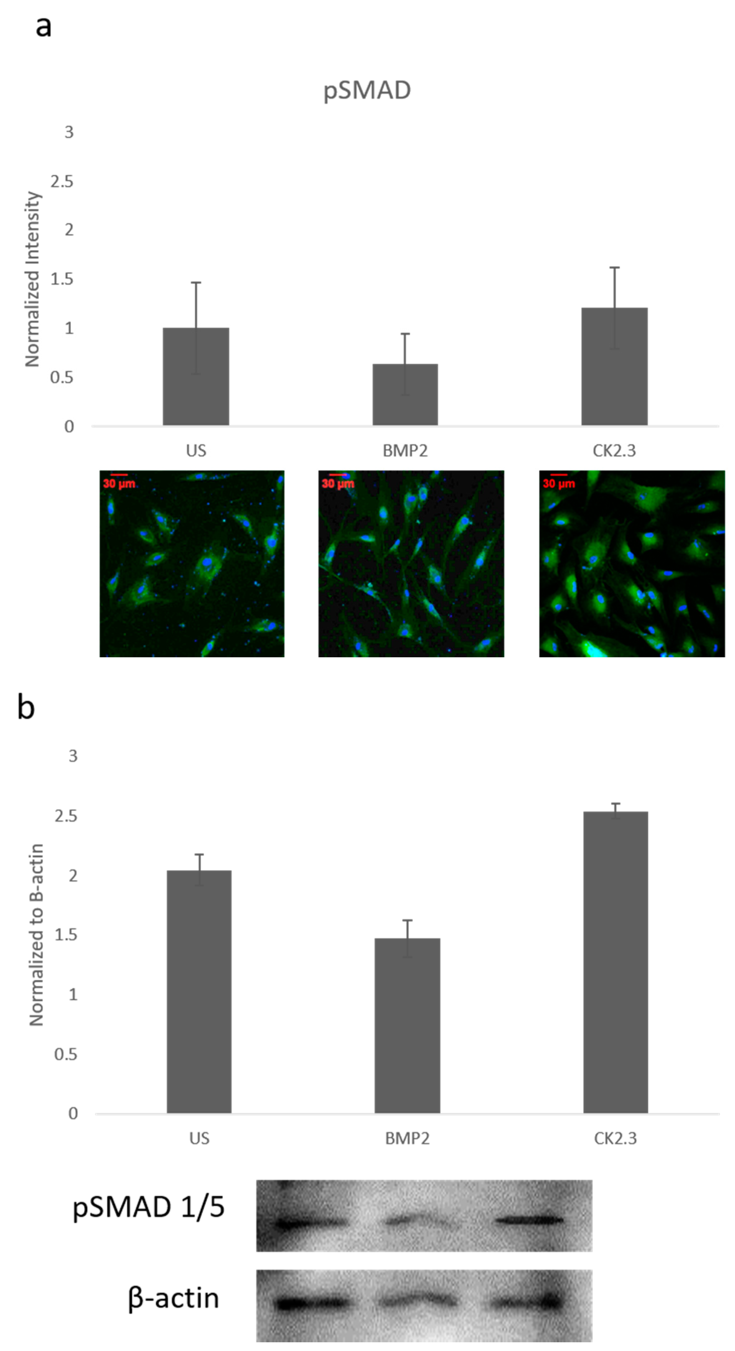Ijms 21 06909 g002 Ijms 21 06909 g002