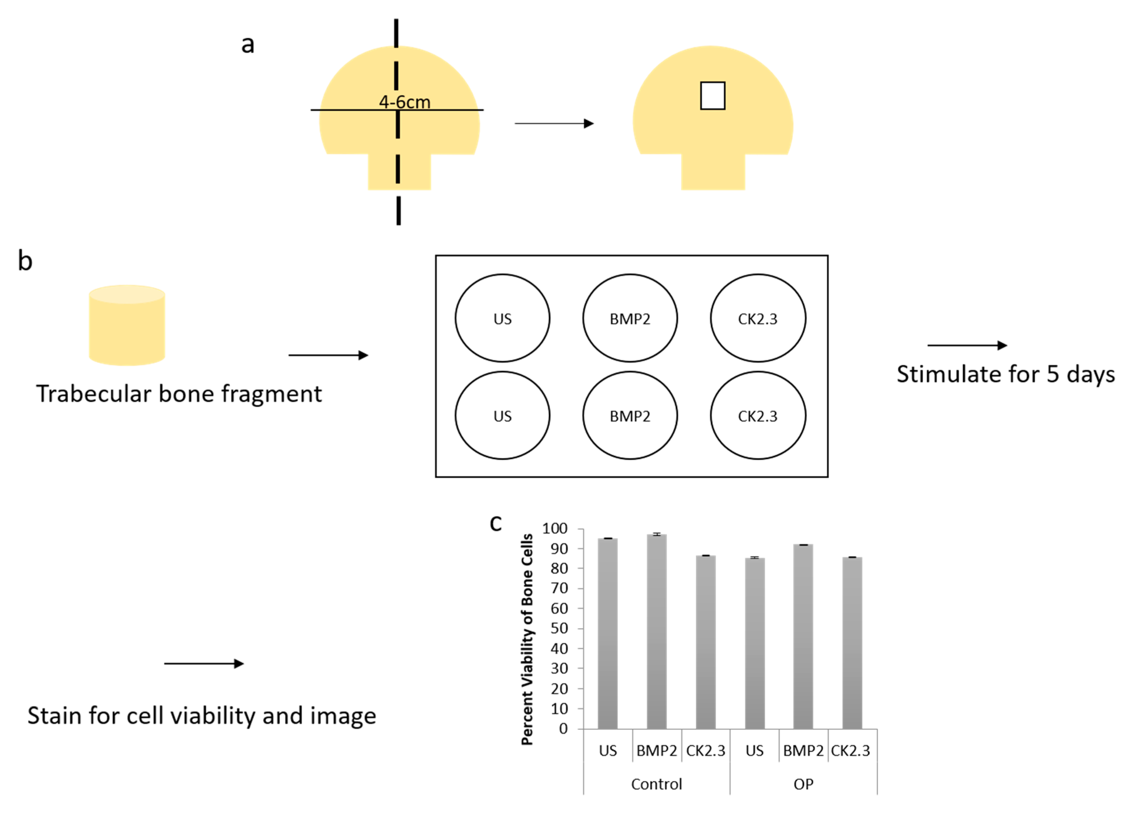 Ijms 21 06909 g003 Ijms 21 06909 g003