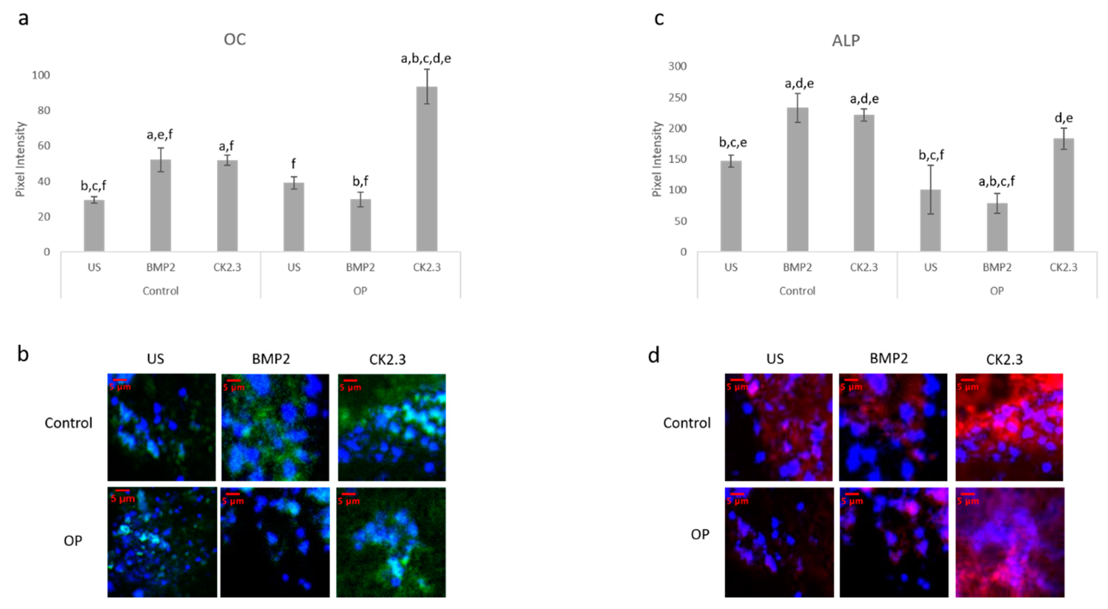 Ijms 21 06909 g004 Ijms 21 06909 g004