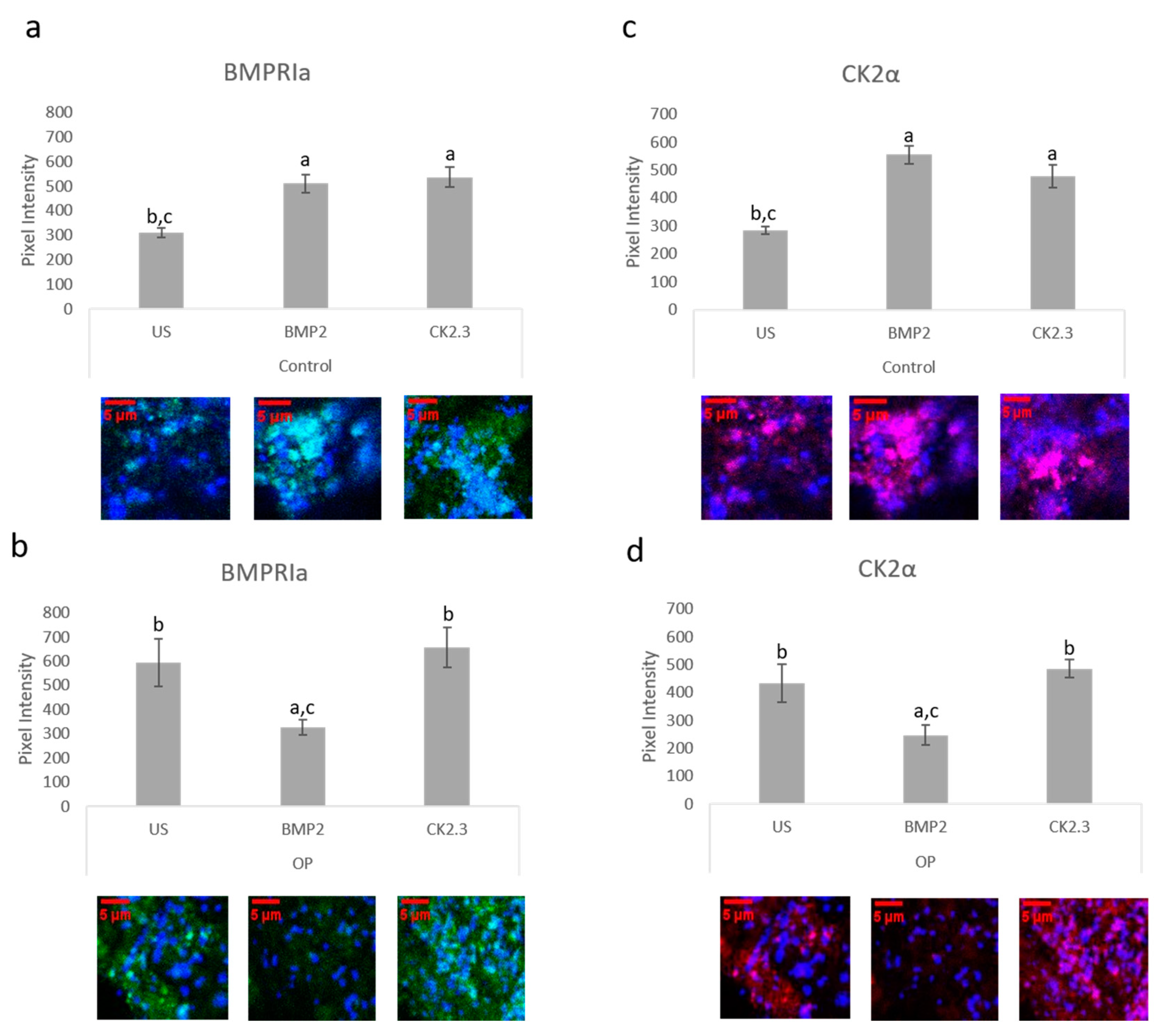 Ijms 21 06909 g006 Ijms 21 06909 g006