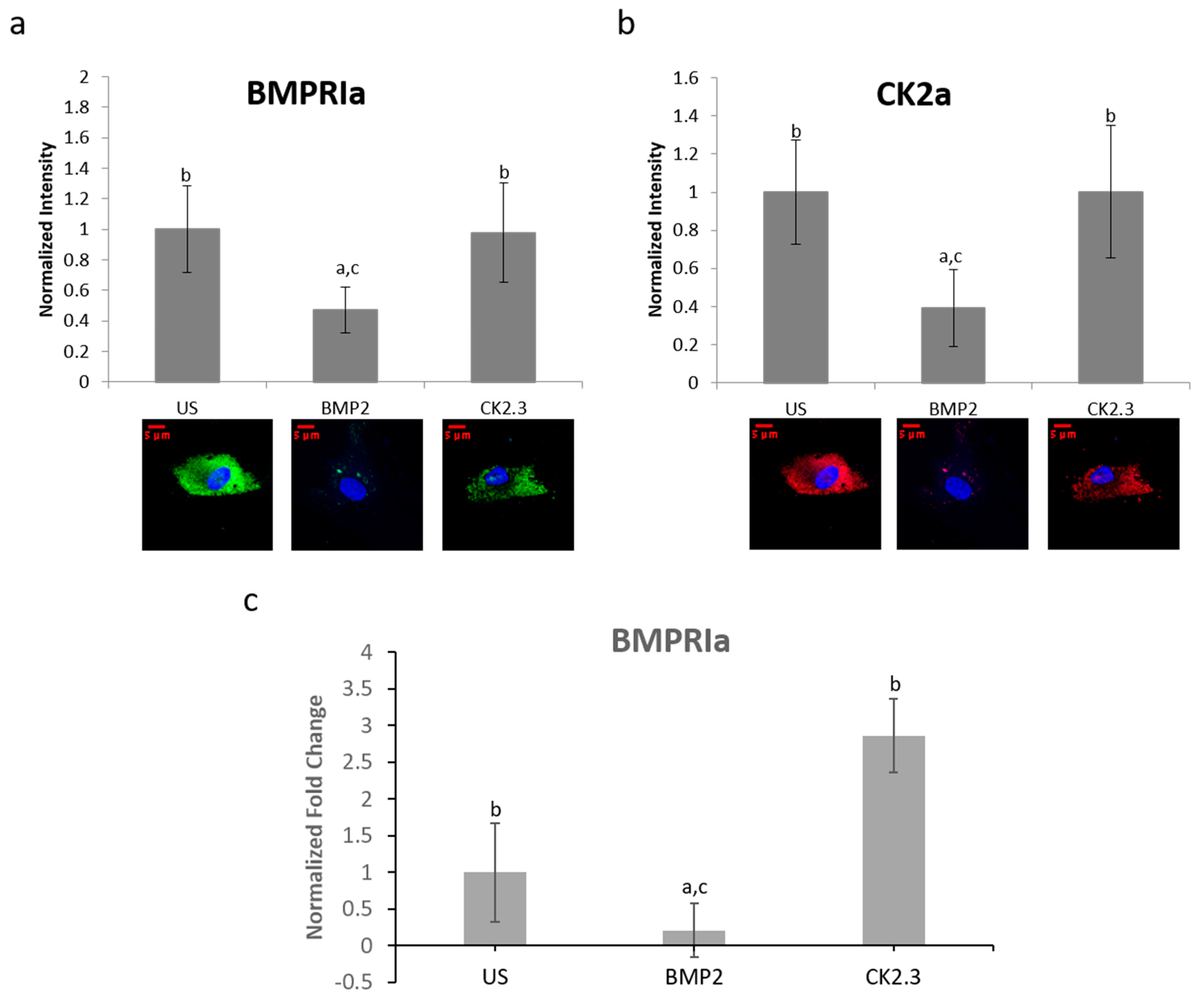Ijms 21 06909 g007 Ijms 21 06909 g007