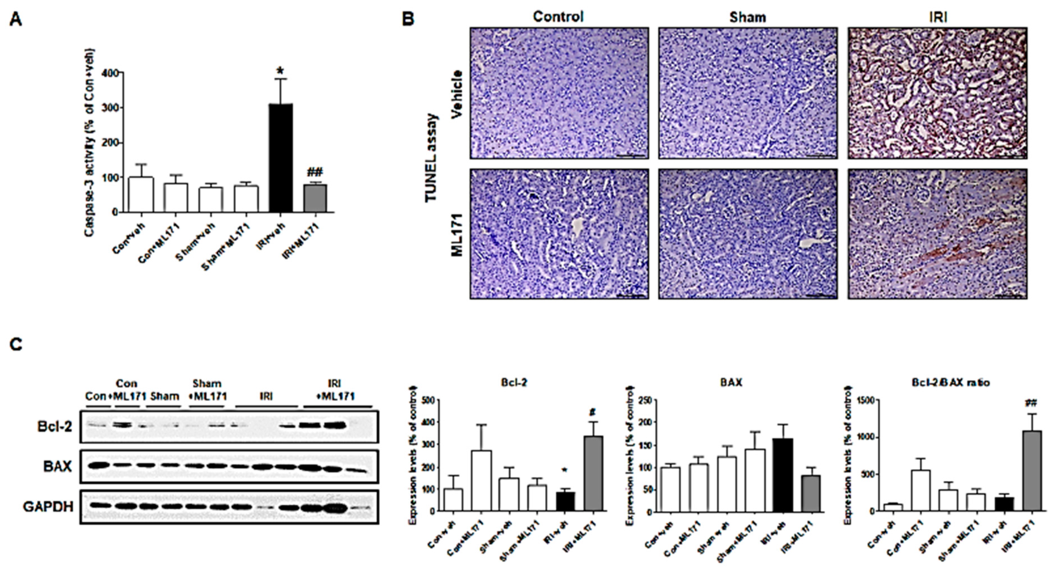 Ijms 21 06911 g003 Ijms 21 06911 g003