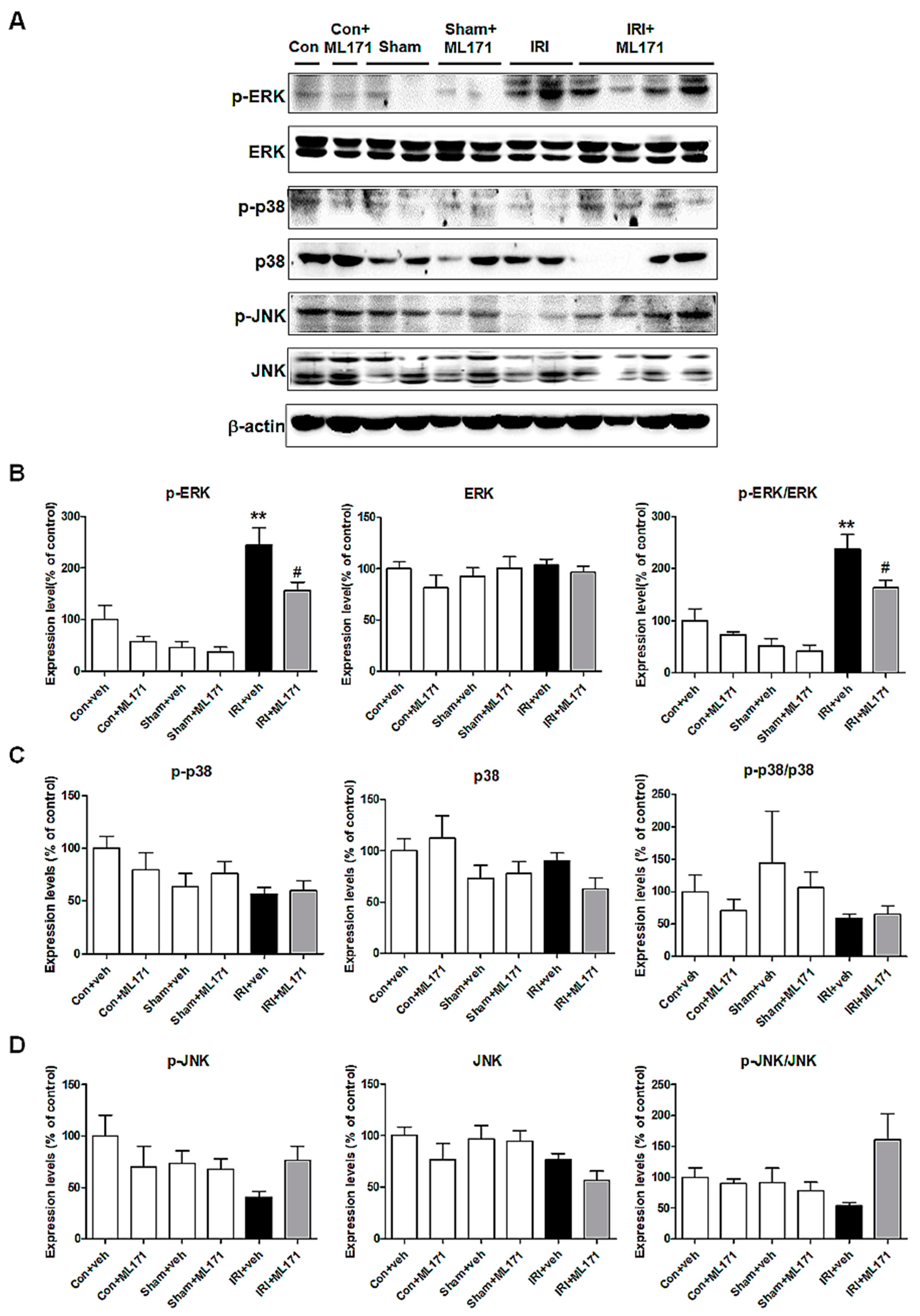 Ijms 21 06911 g004 Ijms 21 06911 g004