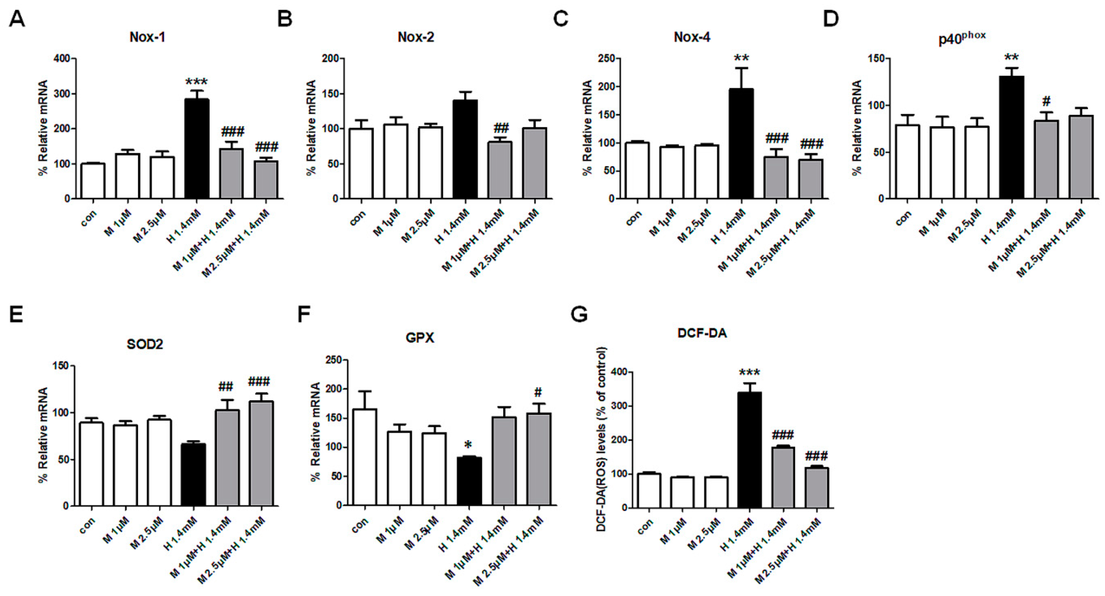 Ijms 21 06911 g005 Ijms 21 06911 g005