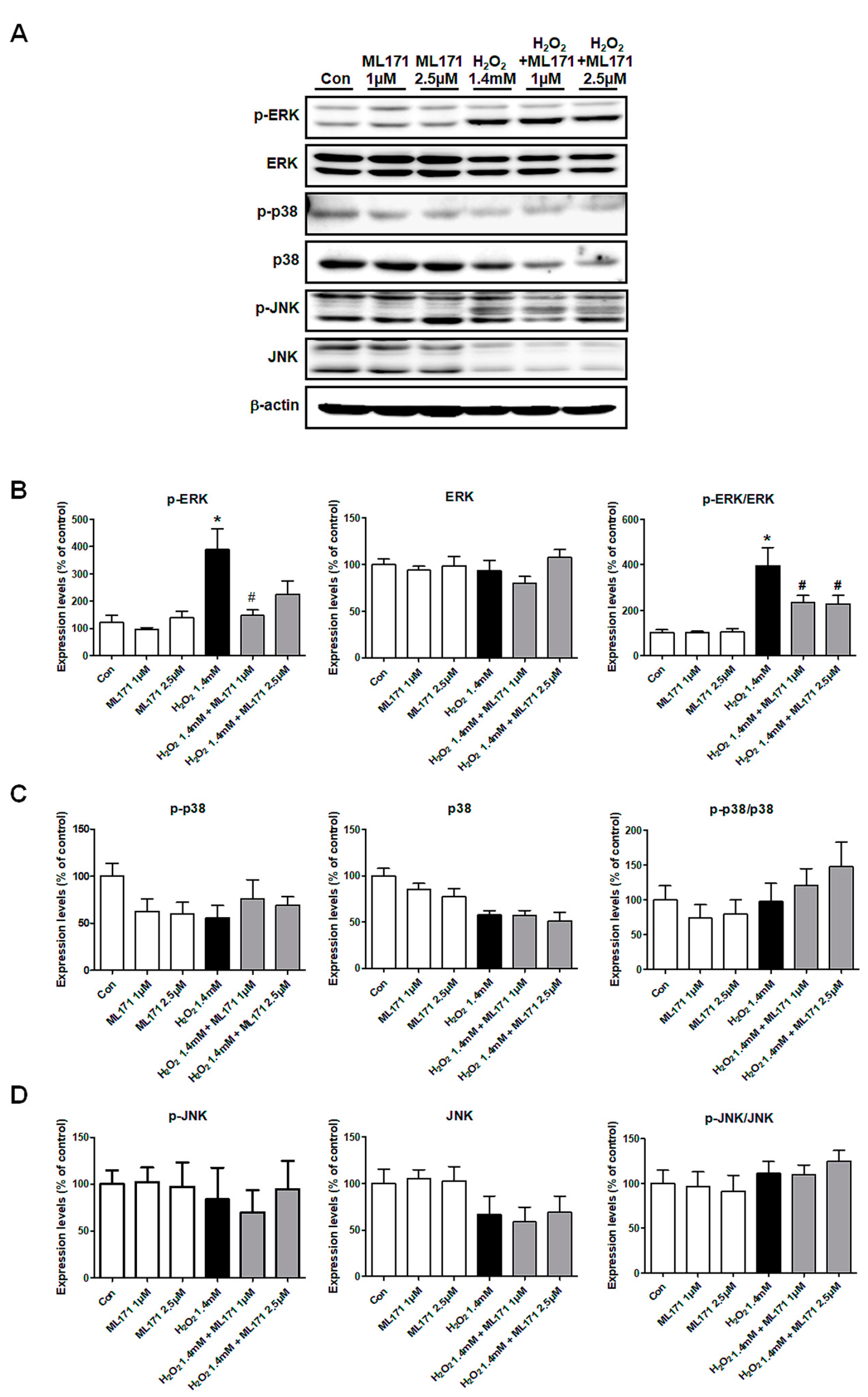 Ijms 21 06911 g008 Ijms 21 06911 g008