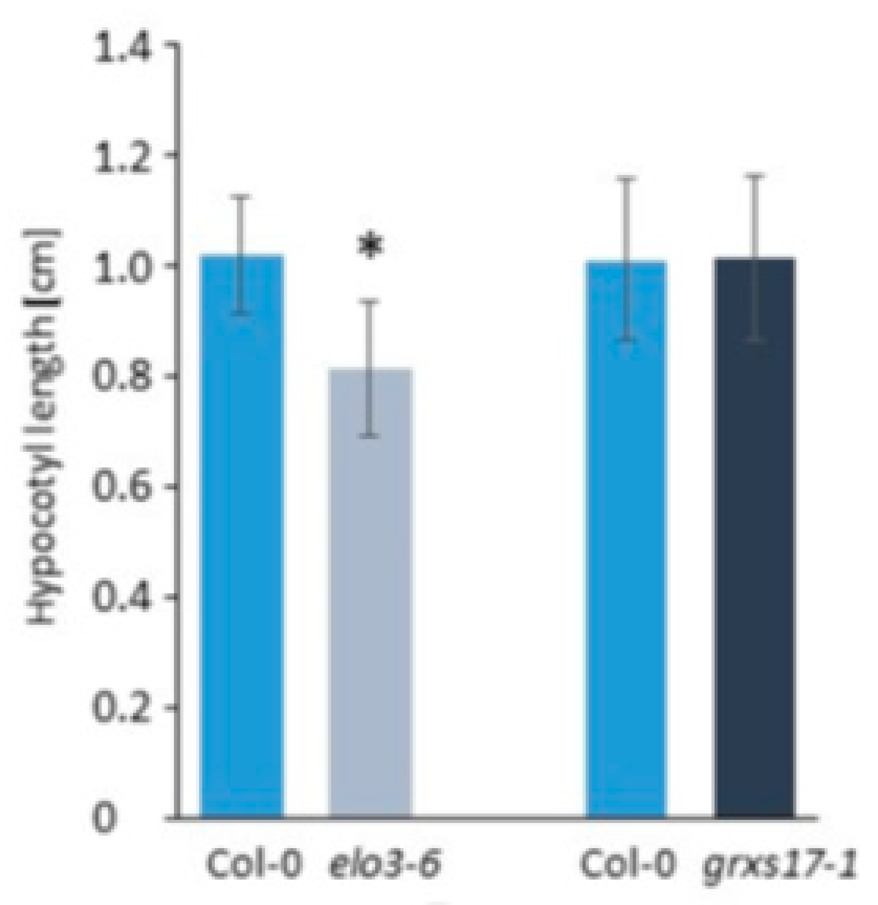 Ijms 21 06912 g002 Ijms 21 06912 g002