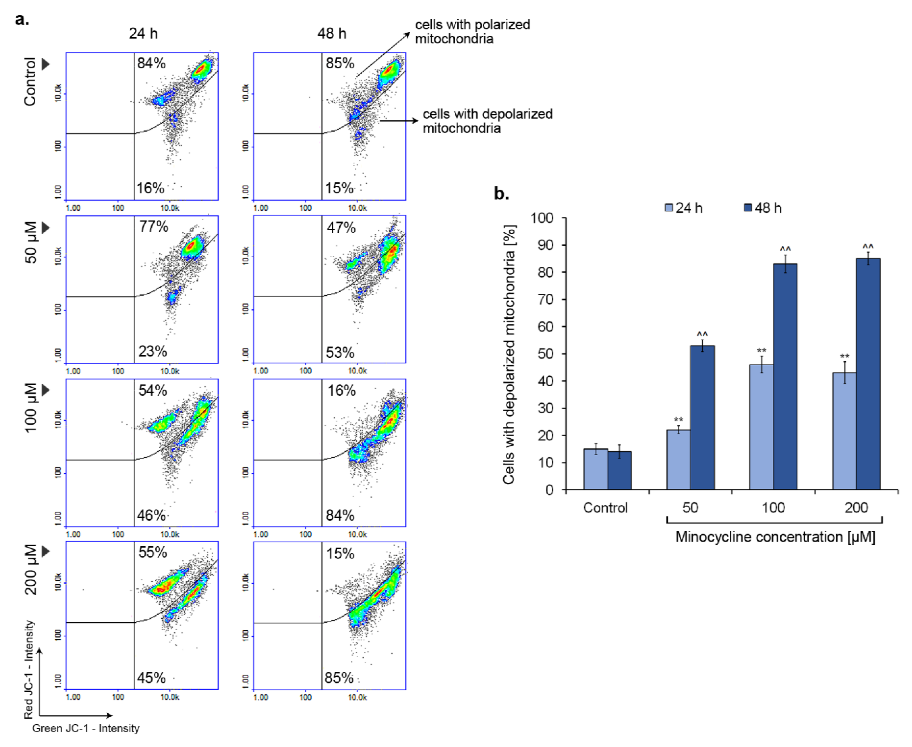 Ijms 21 06917 g009 Ijms 21 06917 g009